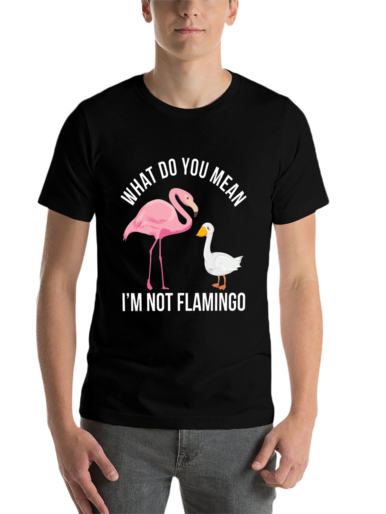 Black Funny "I'm Not Flamingo" Graphic Tee view 7