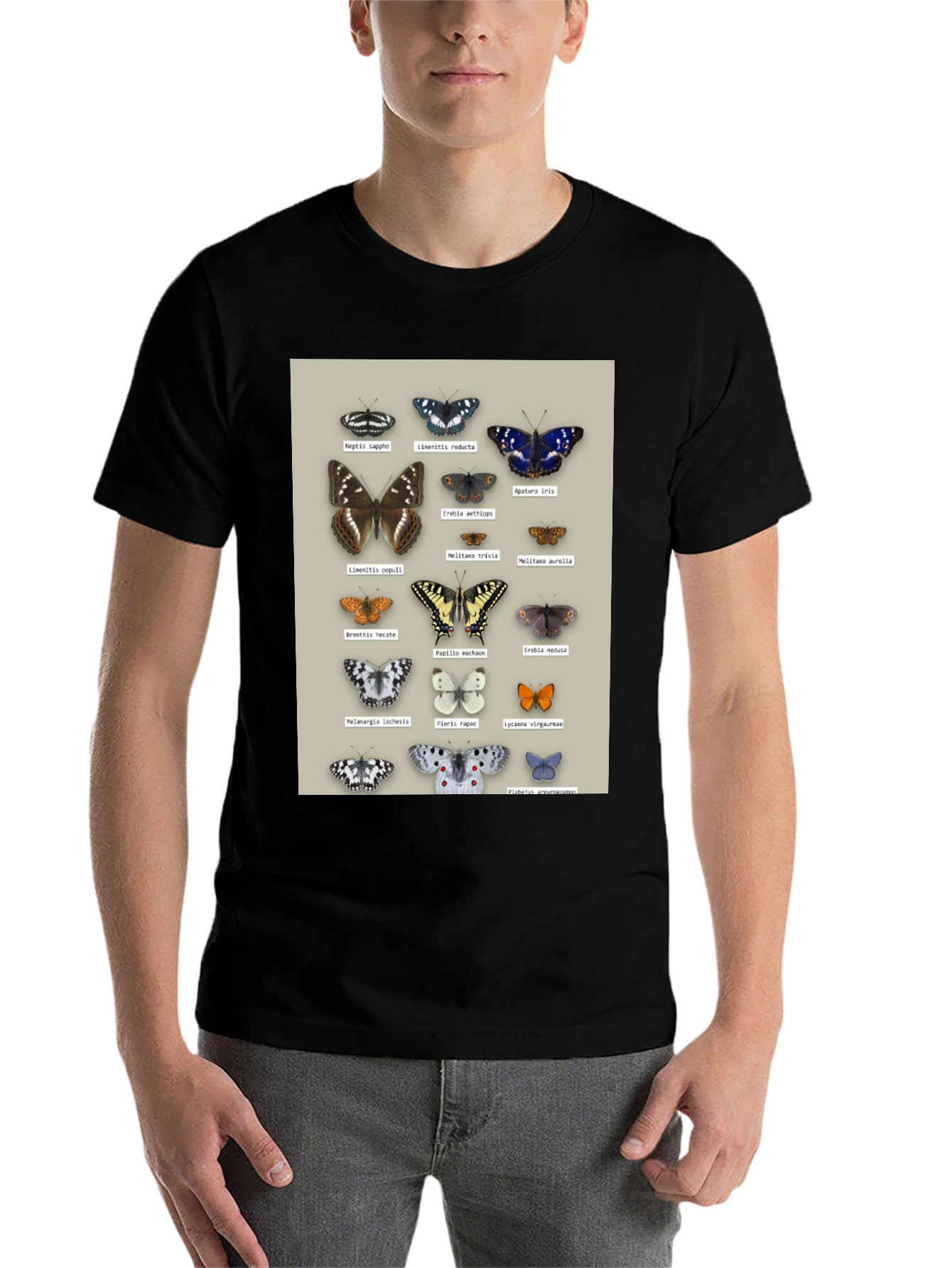 Black Butterfly Print T-Shirt | Nature Lover Apparel view 7