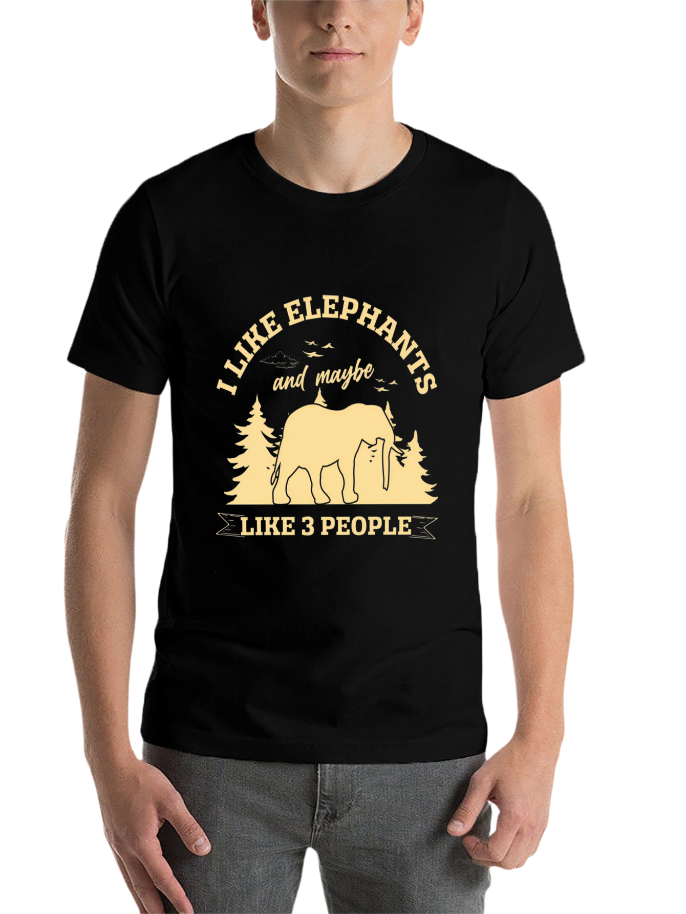 Black Elephant Lover T-Shirt: I Like Elephants & Maybe 3 People view 7