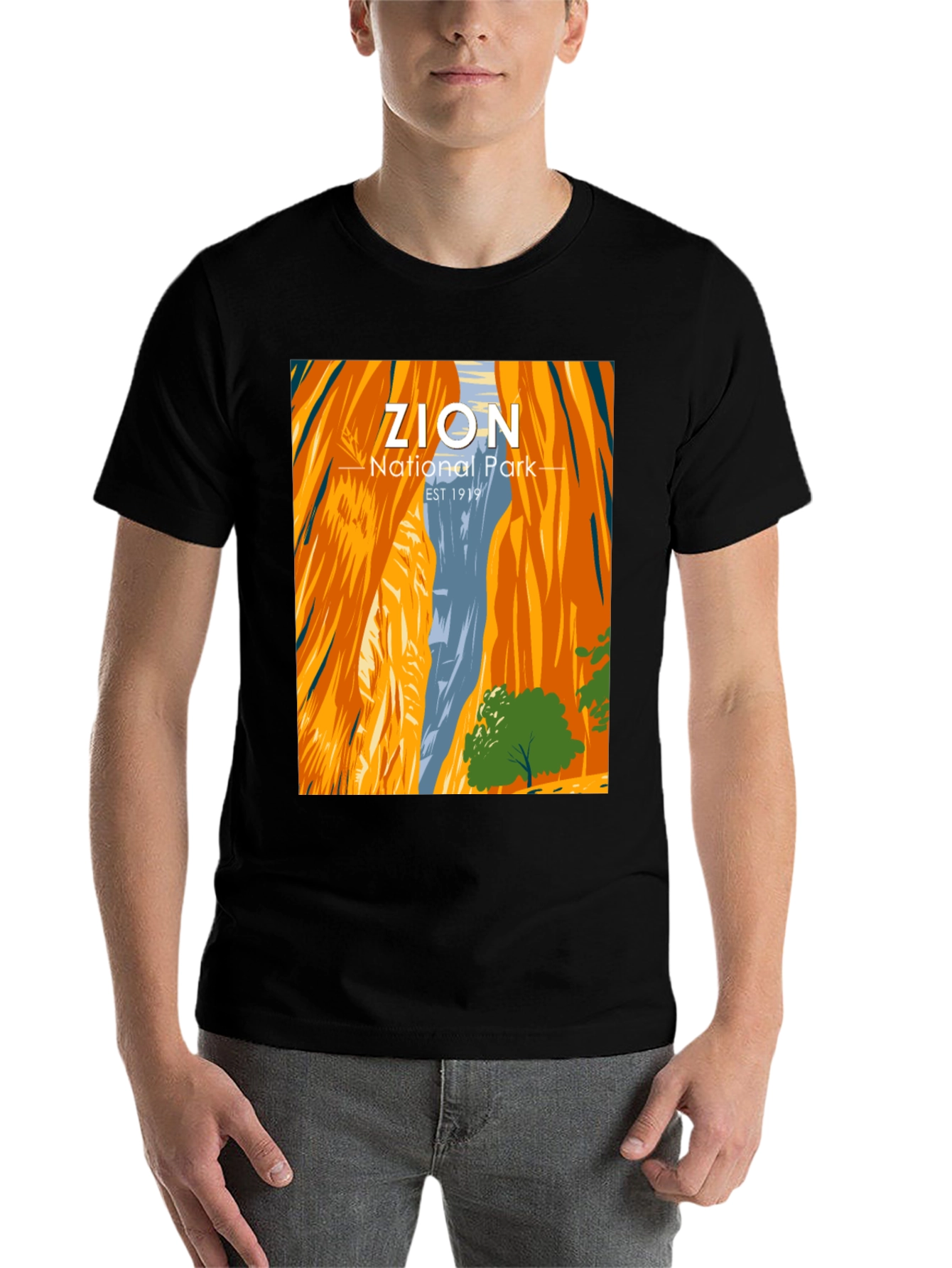 Black Zion National Park Graphic Tee view 7