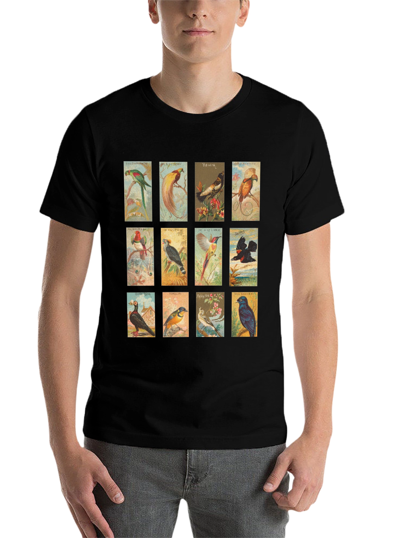 Black Vintage Birds Black T-Shirt view 7
