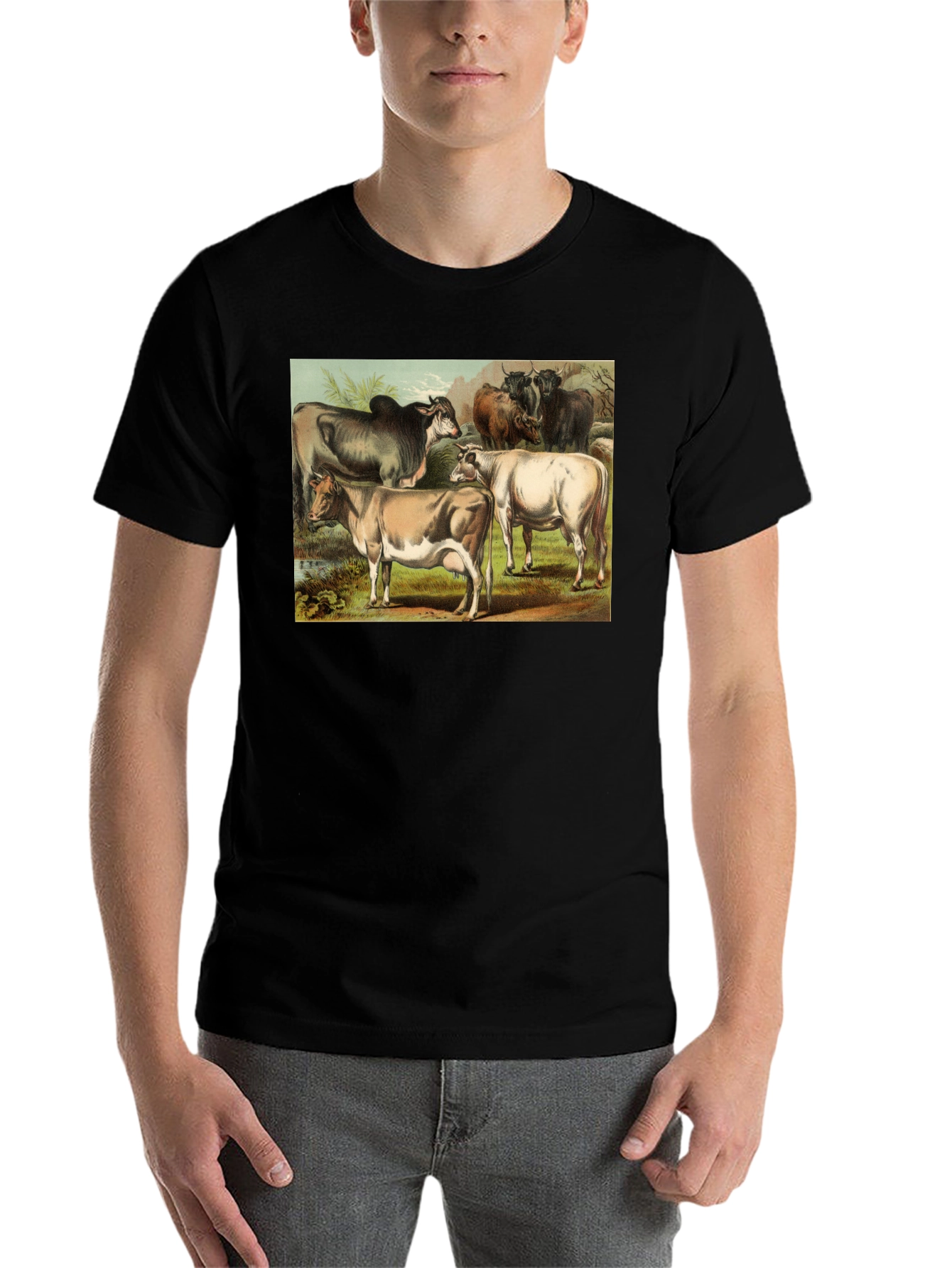Black Vintage Cows Graphic Black T-Shirt view 7