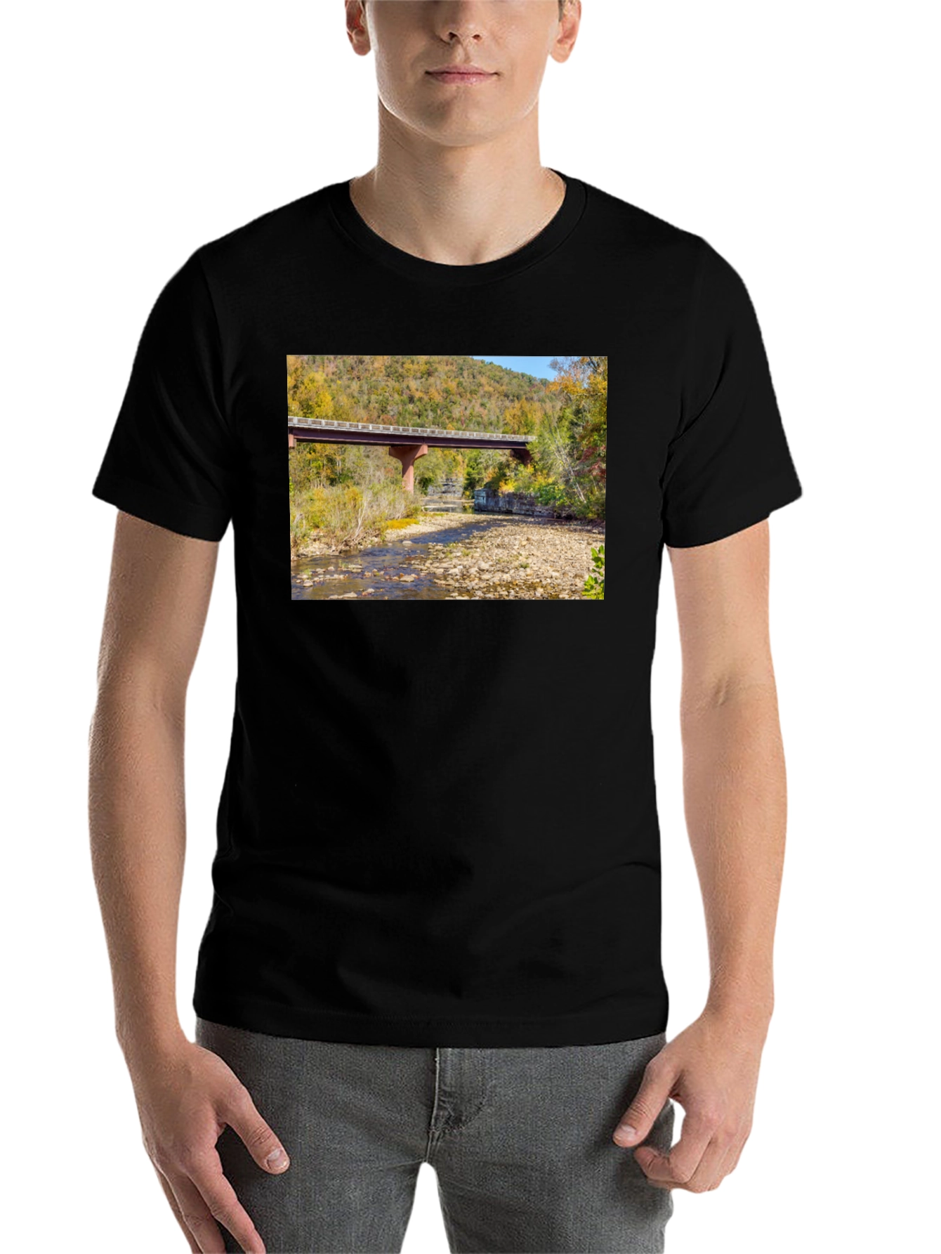 Black Nature Bridge Graphic Tee - Black Cotton Blend view 7