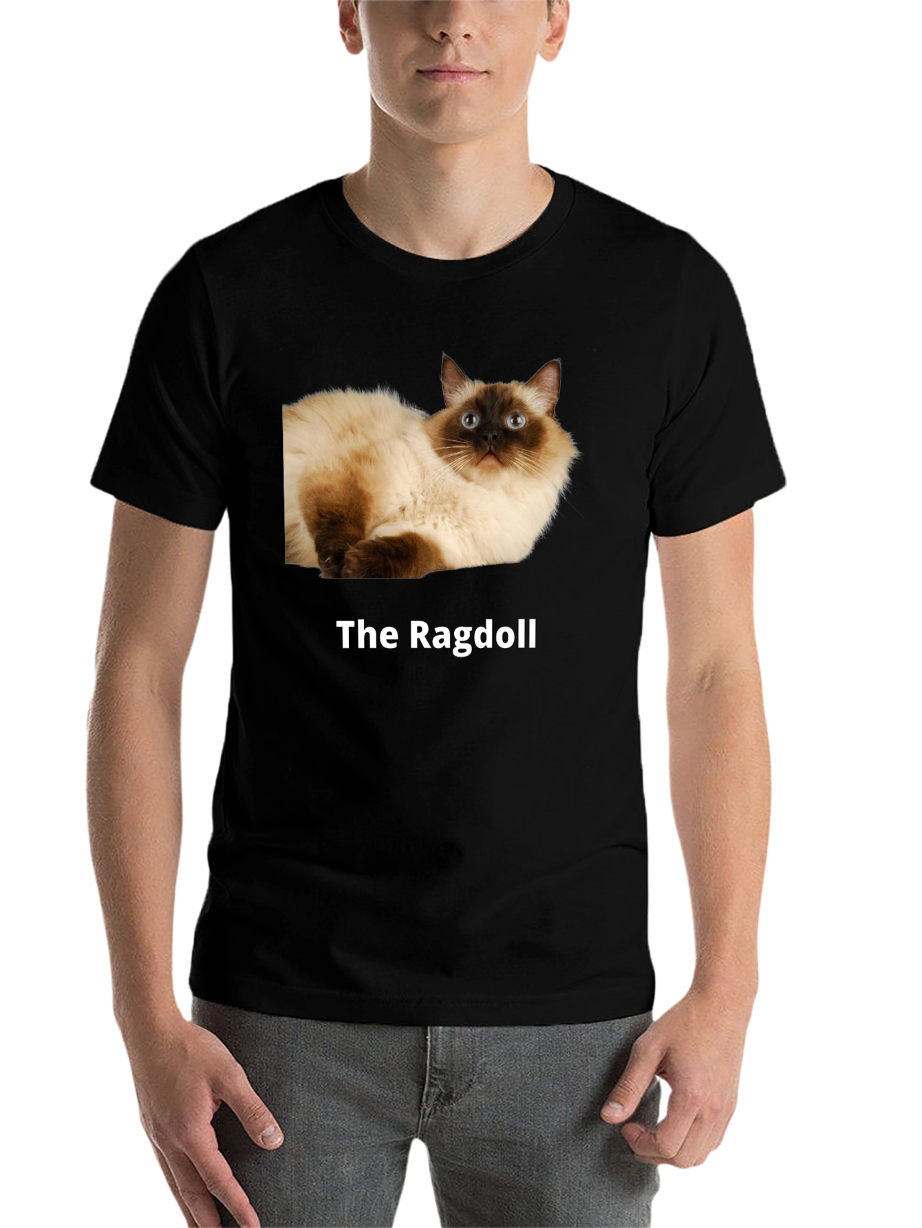 Black Ragdoll Cat T-Shirt - Premium Cotton Blend view 7