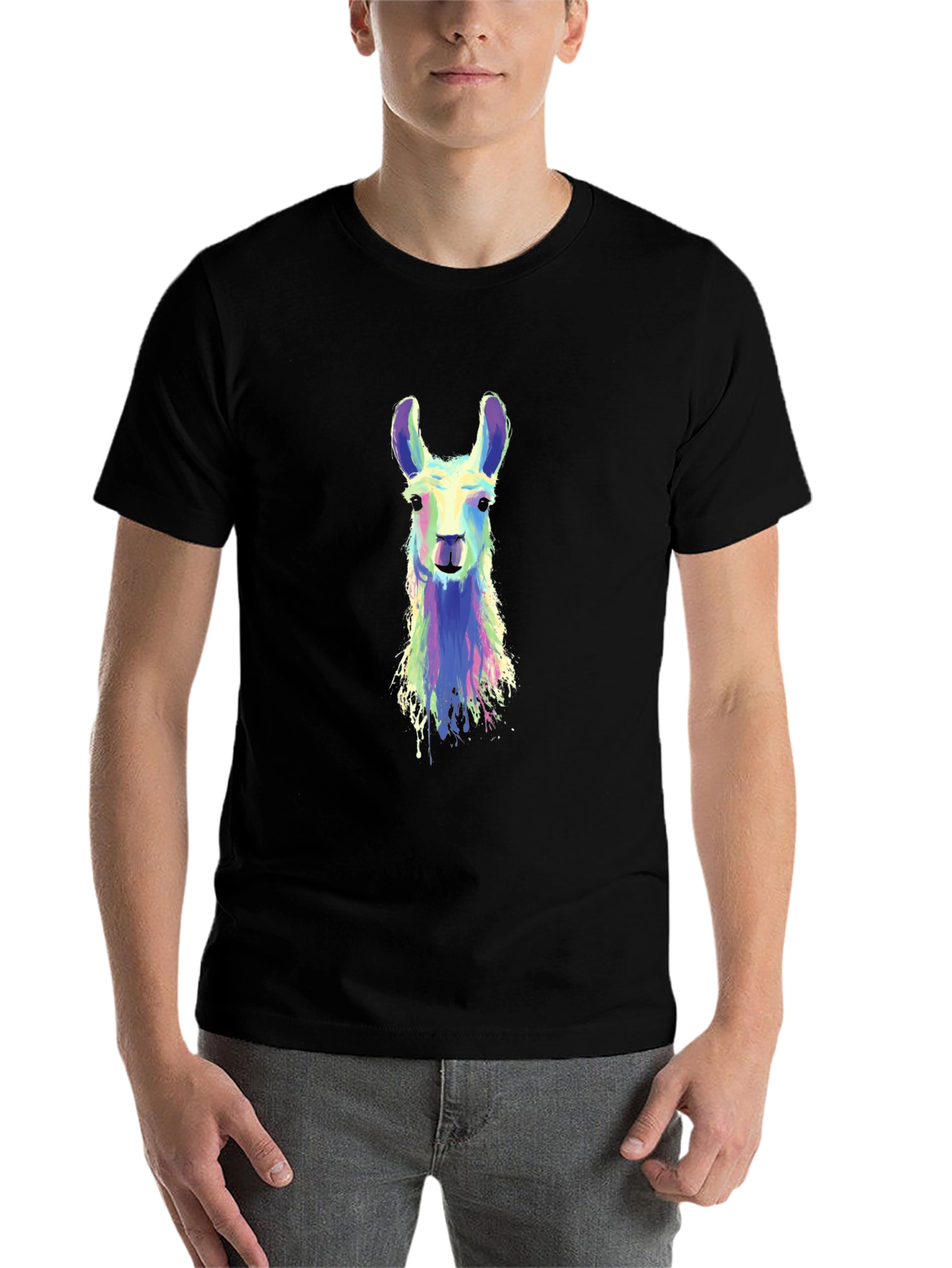 Black Llama Art Graphic Tee - Cool Animal Shirt view 7