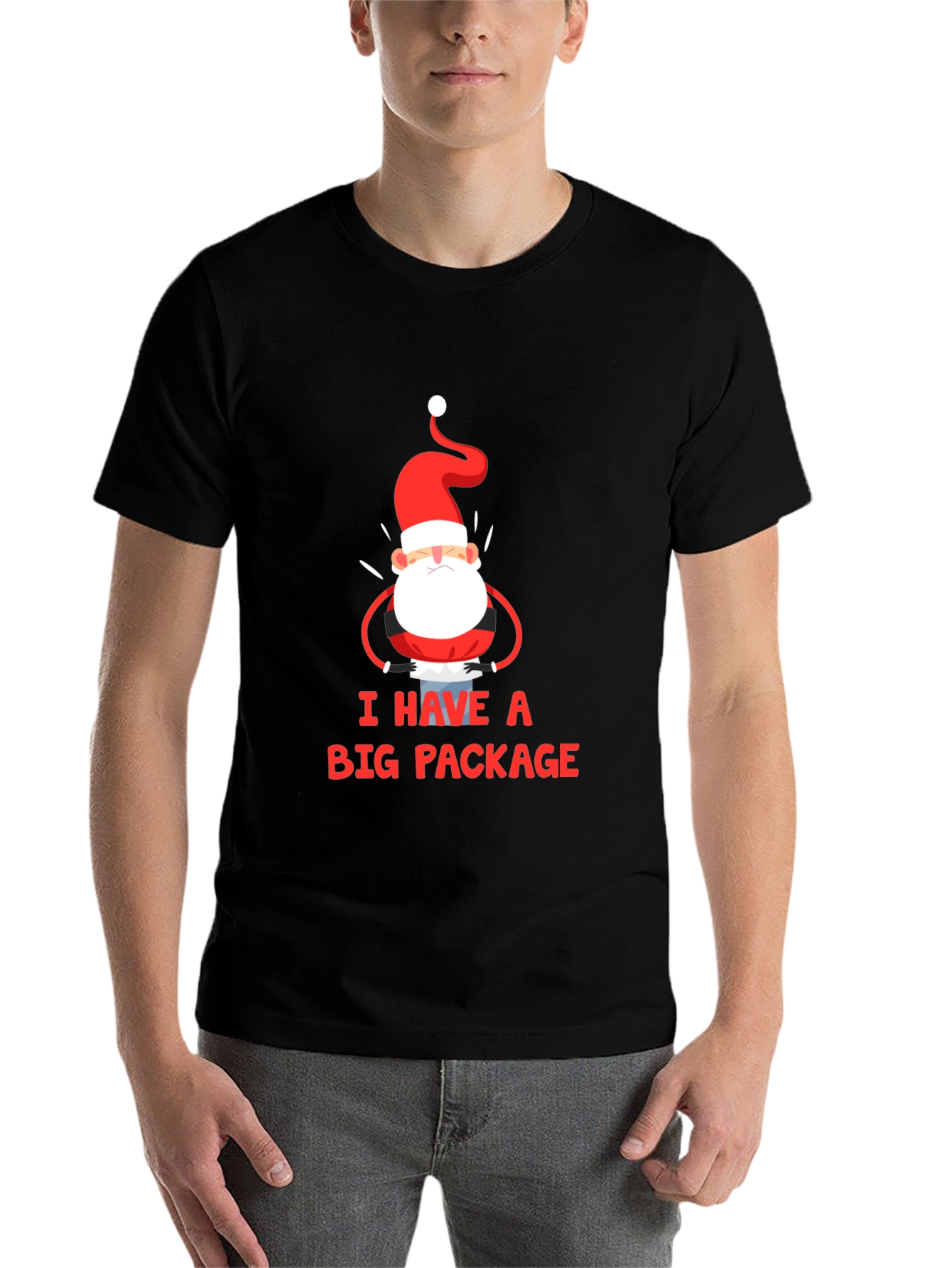 Black I Have a Big Package Graphic Tee Santa Christmas Holiday Shirt view 7