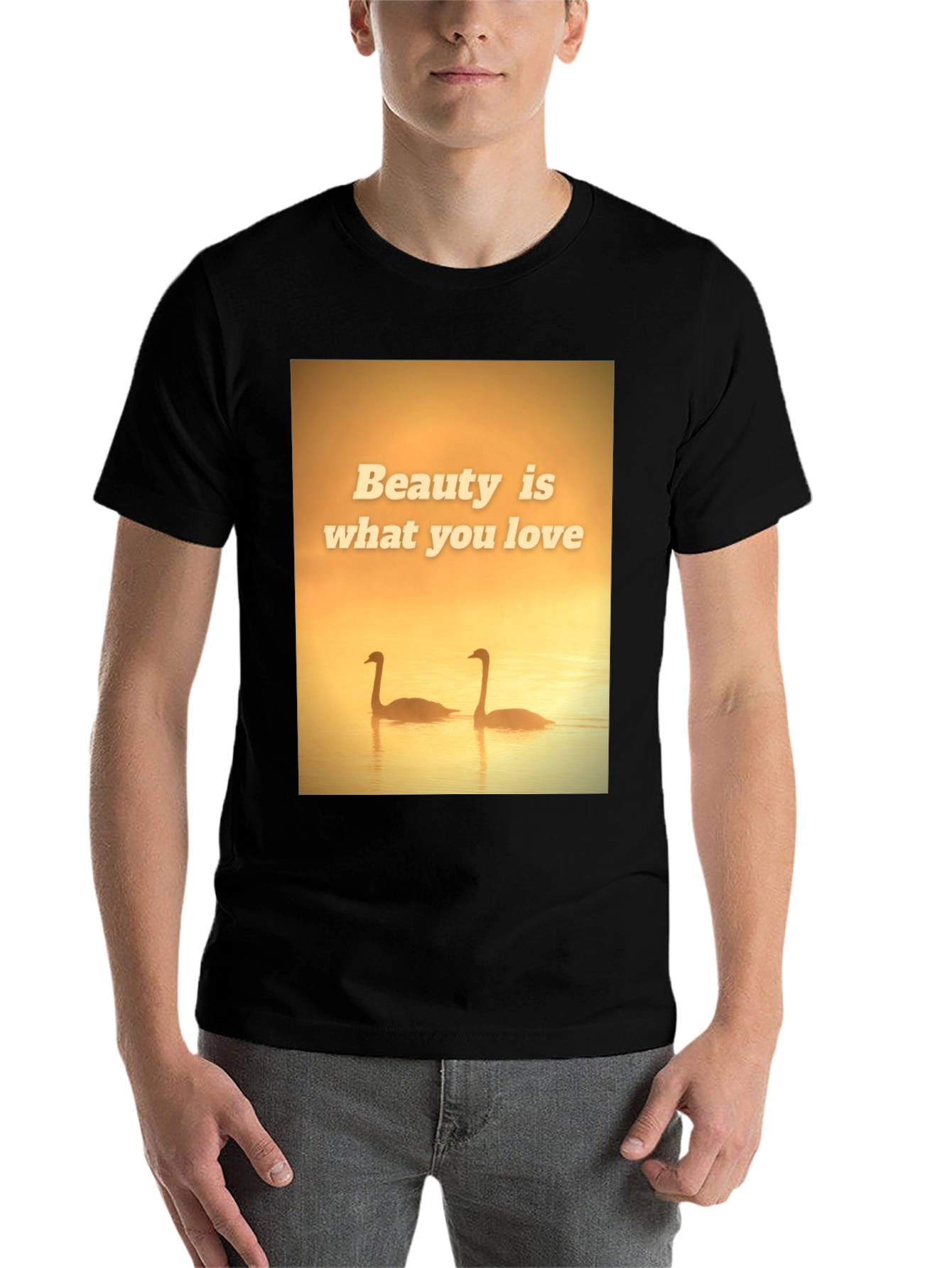 Black Beauty Swans Graphic T-Shirt view 7