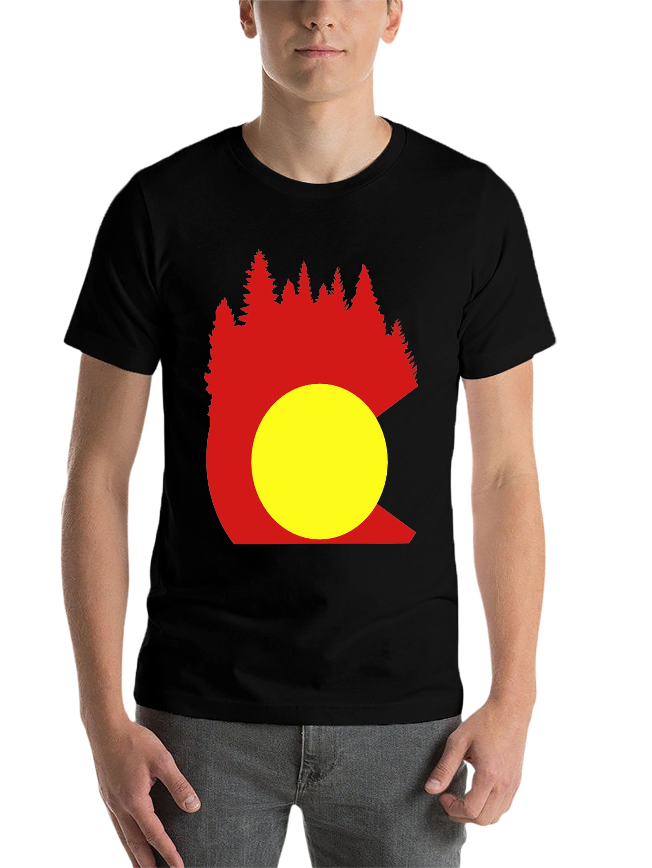 Black Colorado Trees Men's Black Graphic T-Shirt view 7
