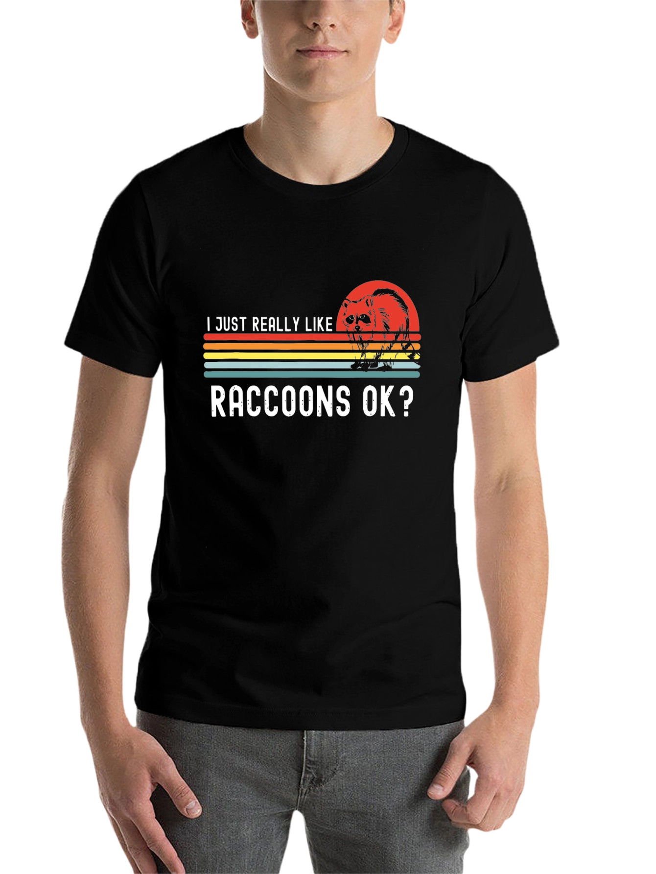 Black Raccoon Lover T-Shirt - Retro Sunset Design view 7