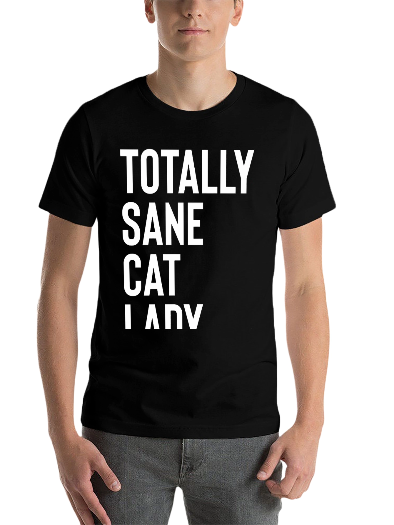 Black Totally Sane Cat Lady Black T-Shirt view 7