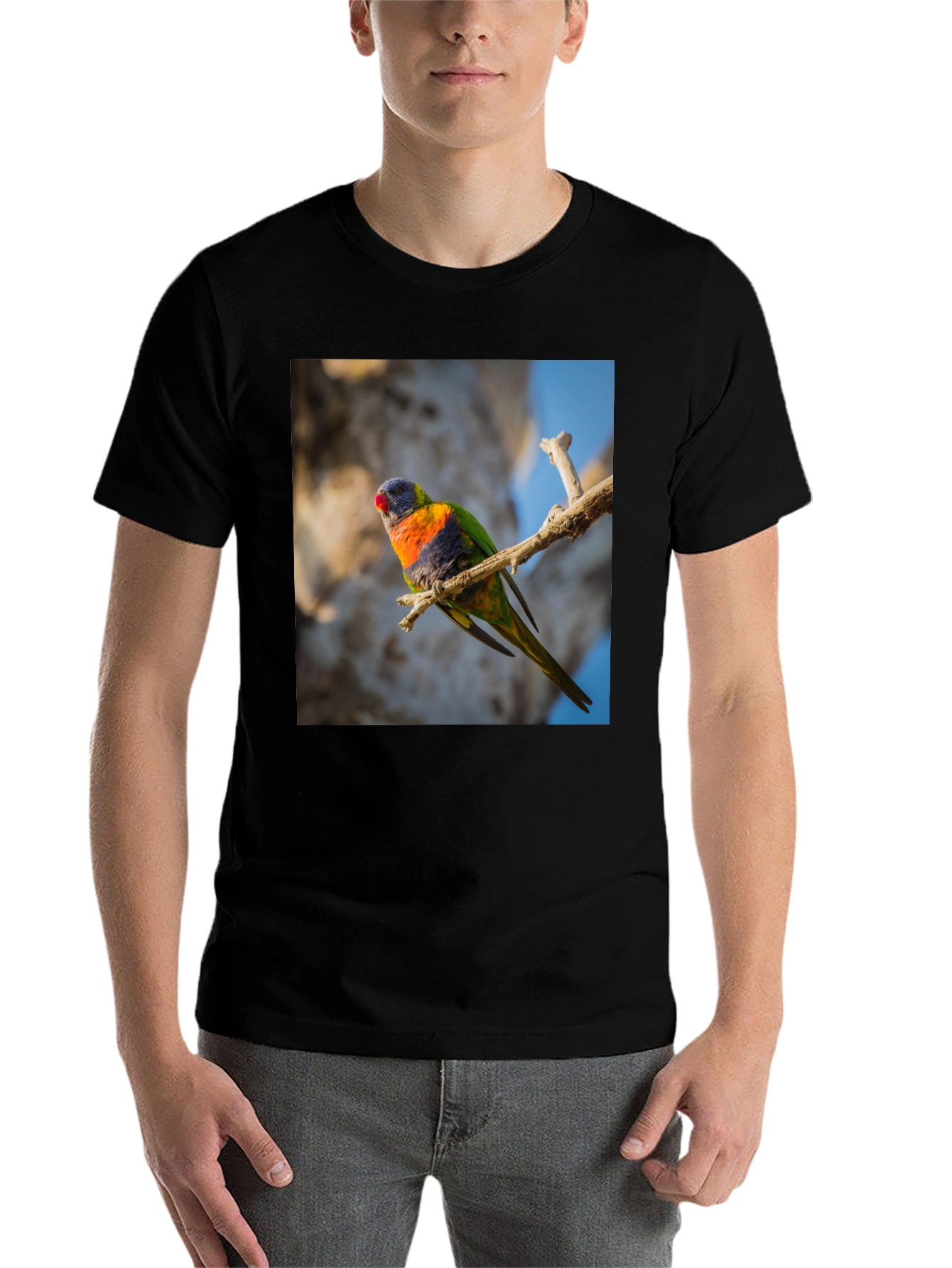 Black Rainbow Lorikeet T-Shirt - Nature Inspired Apparel view 7
