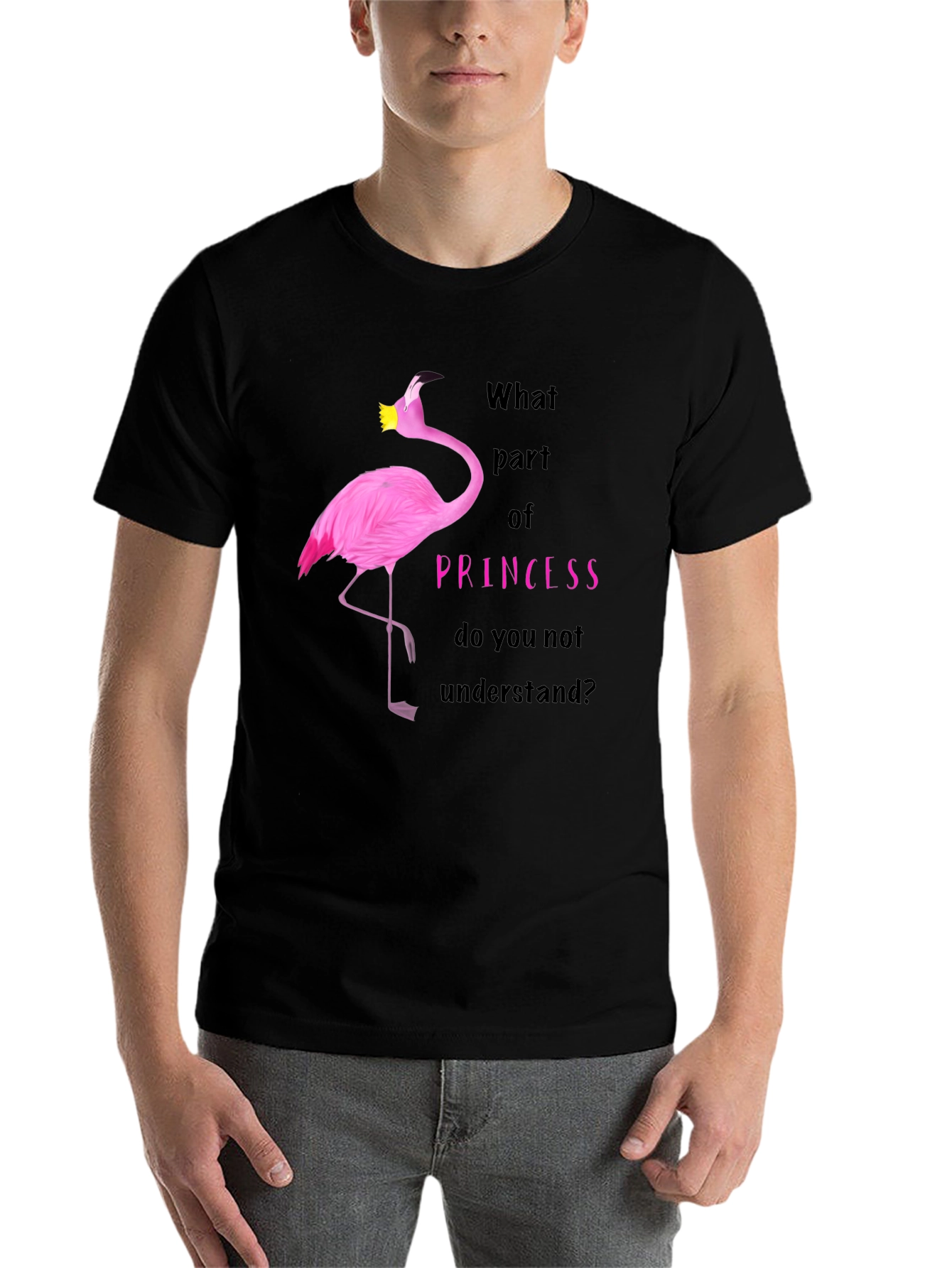 Black Flamingo Princess T-Shirt - What Part Do You Not Understand? view 7