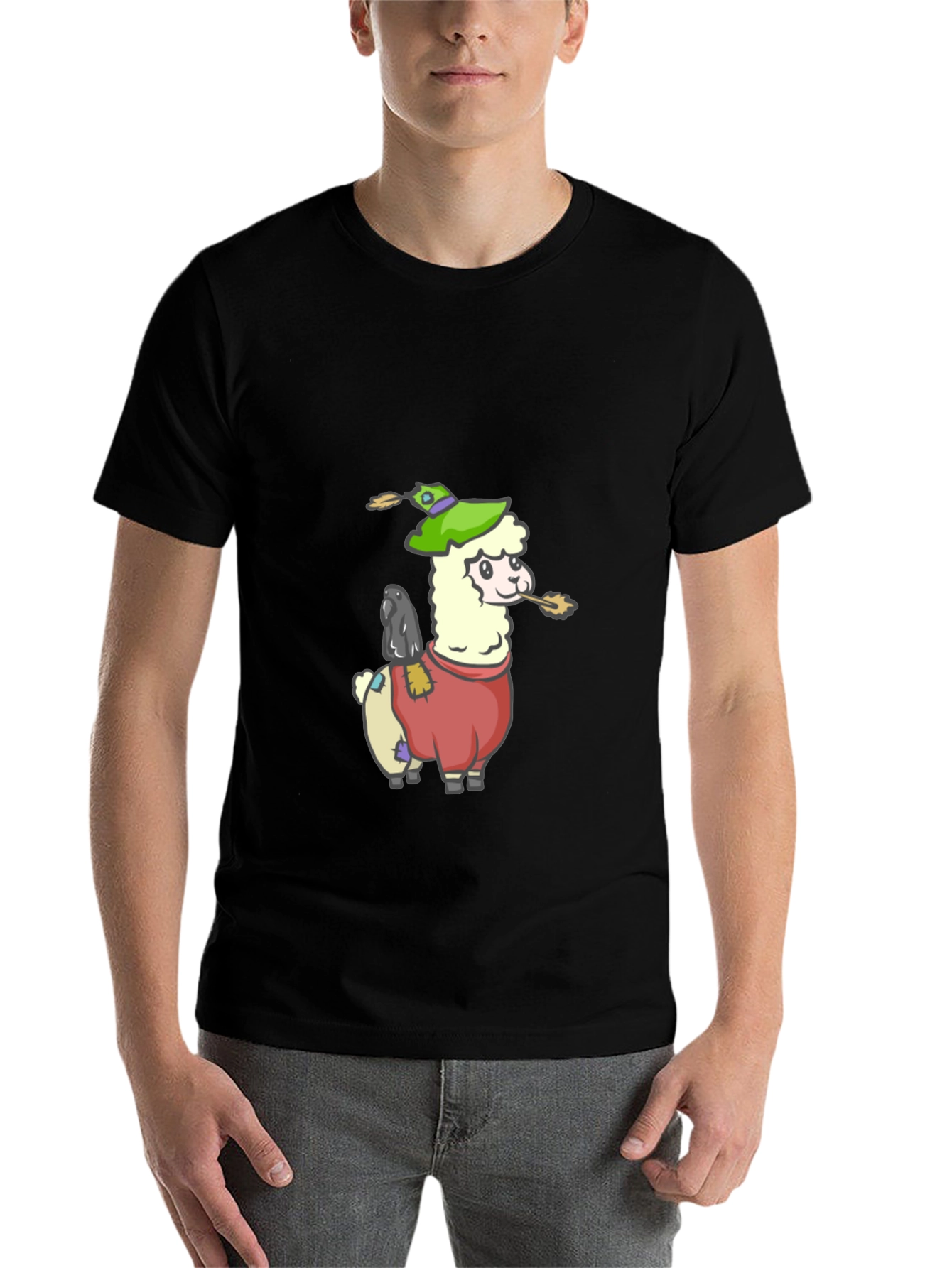 Black Llama Scarecrow Graphic Tee view 7