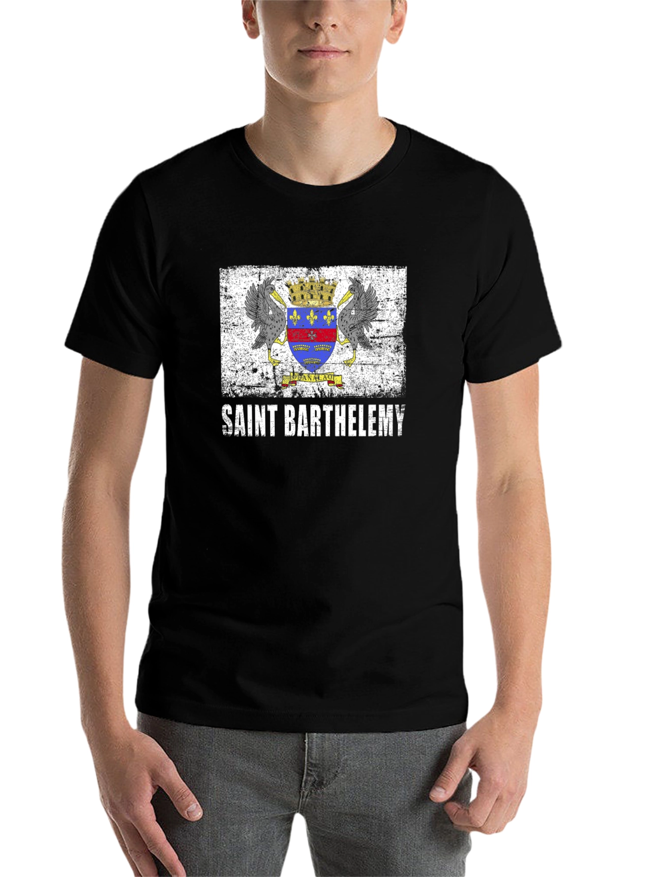 Saint Barthelemy Flag T-Shirt - Black - 7