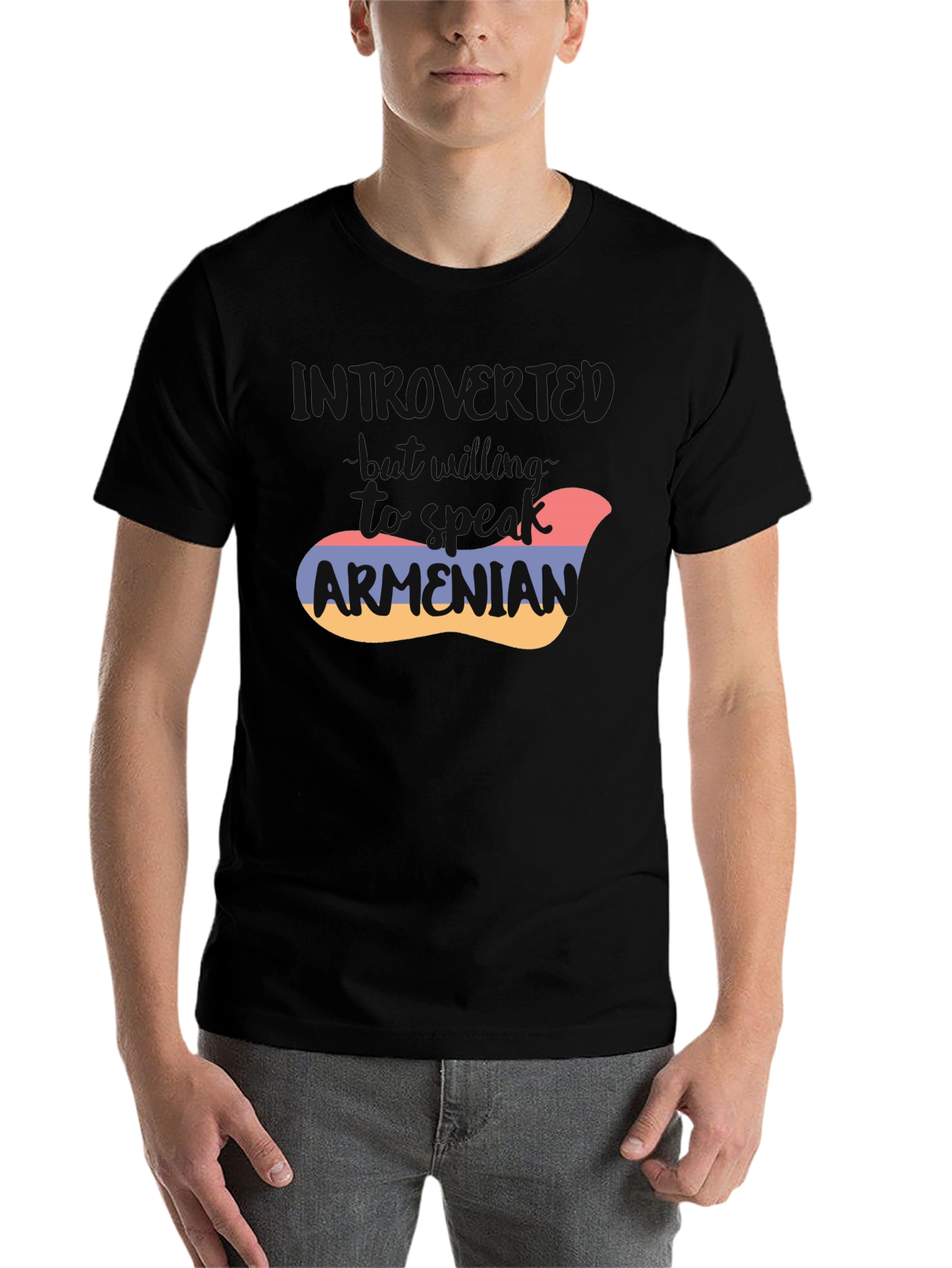 Black Introvert Armenian Flag T-Shirt view 7