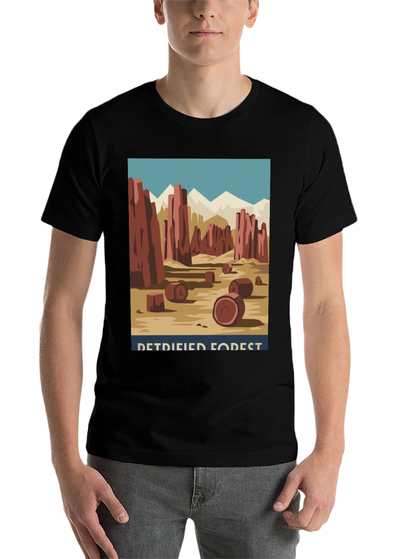 Black Petrified Forest T-Shirt - Retro Desert Graphic Tee view 7