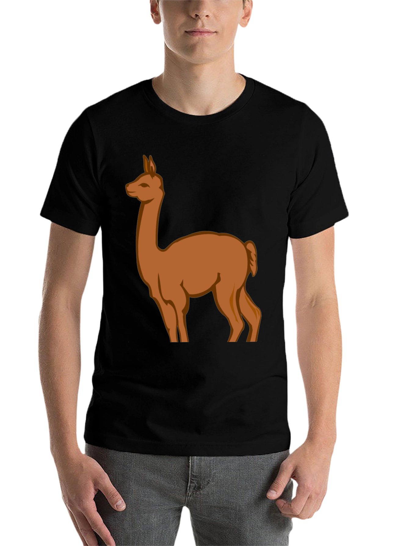 Black Llama Graphic Tee - Black Cotton Blend view 7