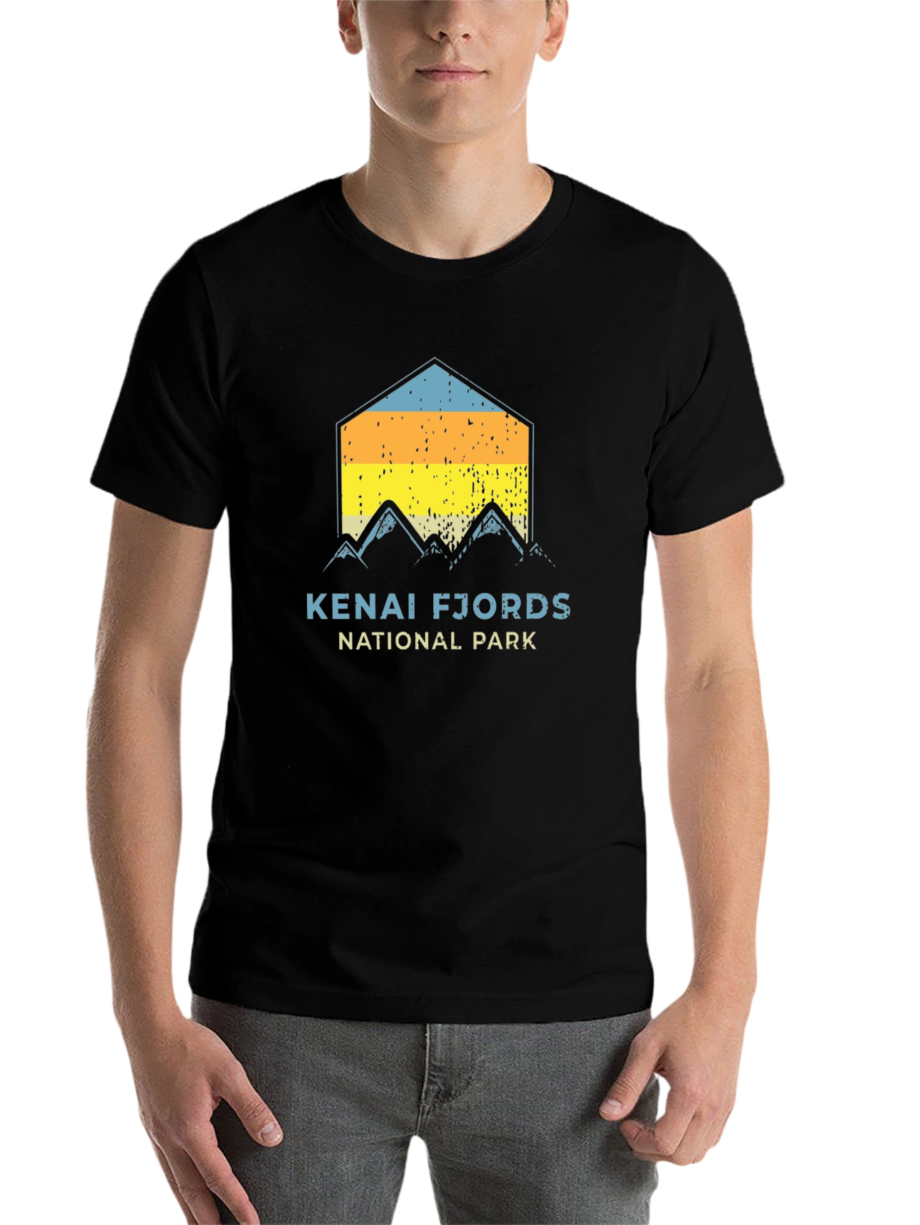 Black Kenai Fjords National Park Black T-Shirt view 7