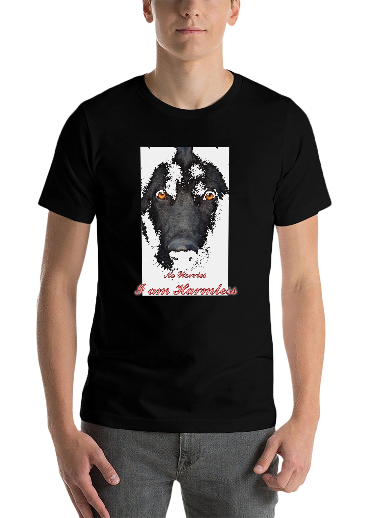 Black Harmless Dog Graphic T-Shirt view 7