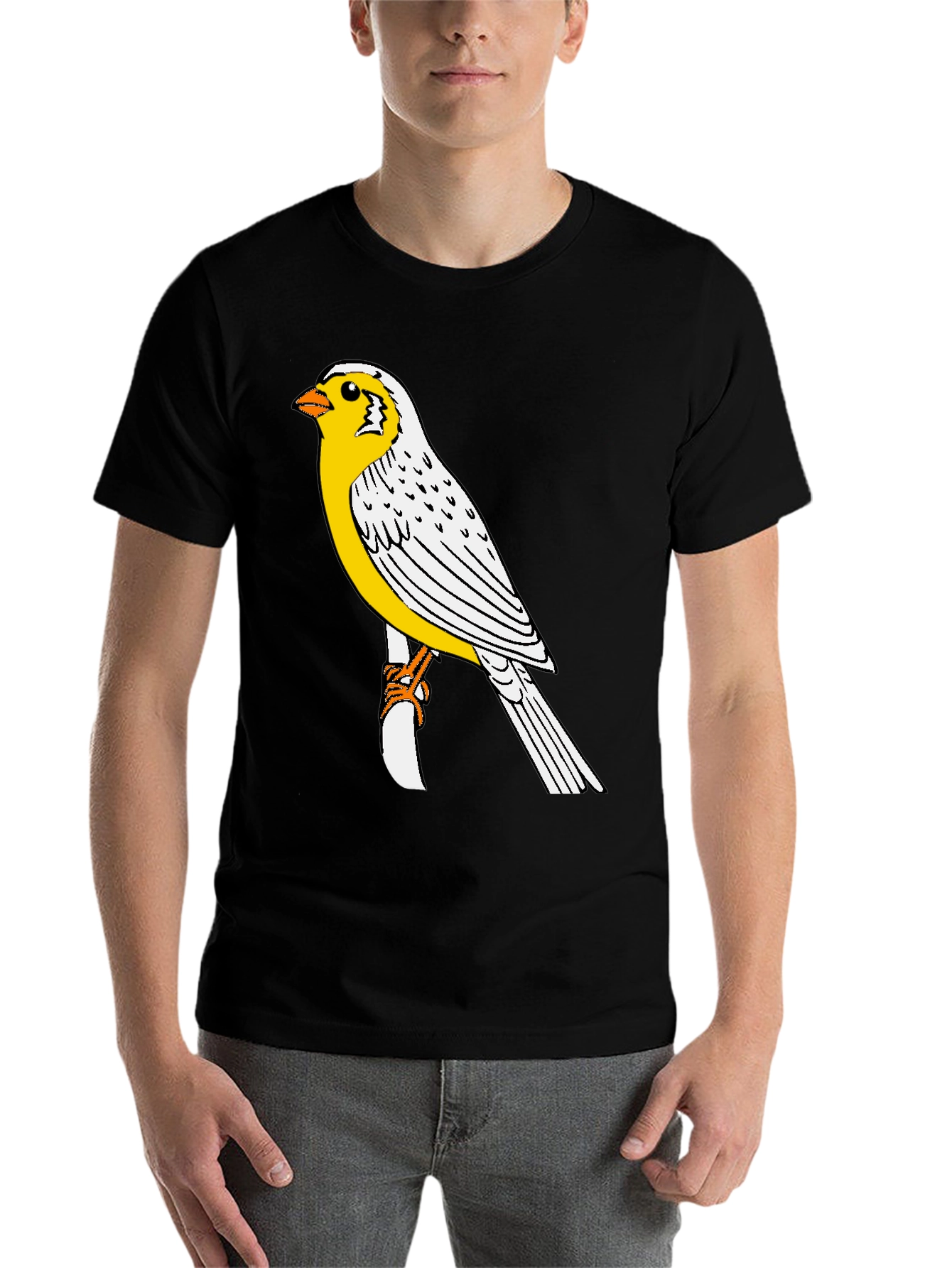 Black Canary Bird Graphic T-Shirt - Black Casual Tee view 7