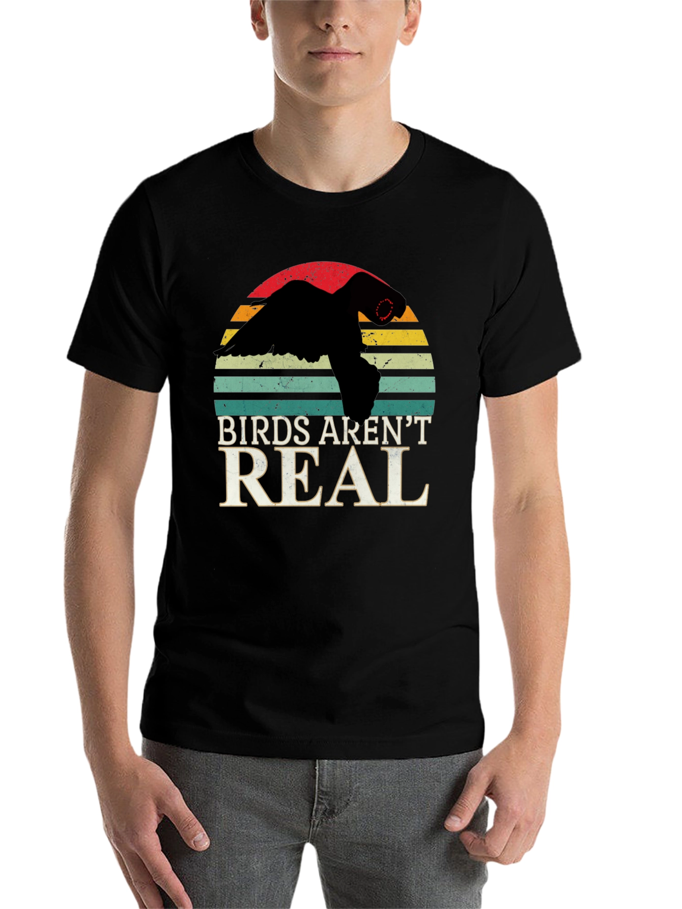 Black Birds Aren't Real T-Shirt Conspiracy Funny Gift view 7