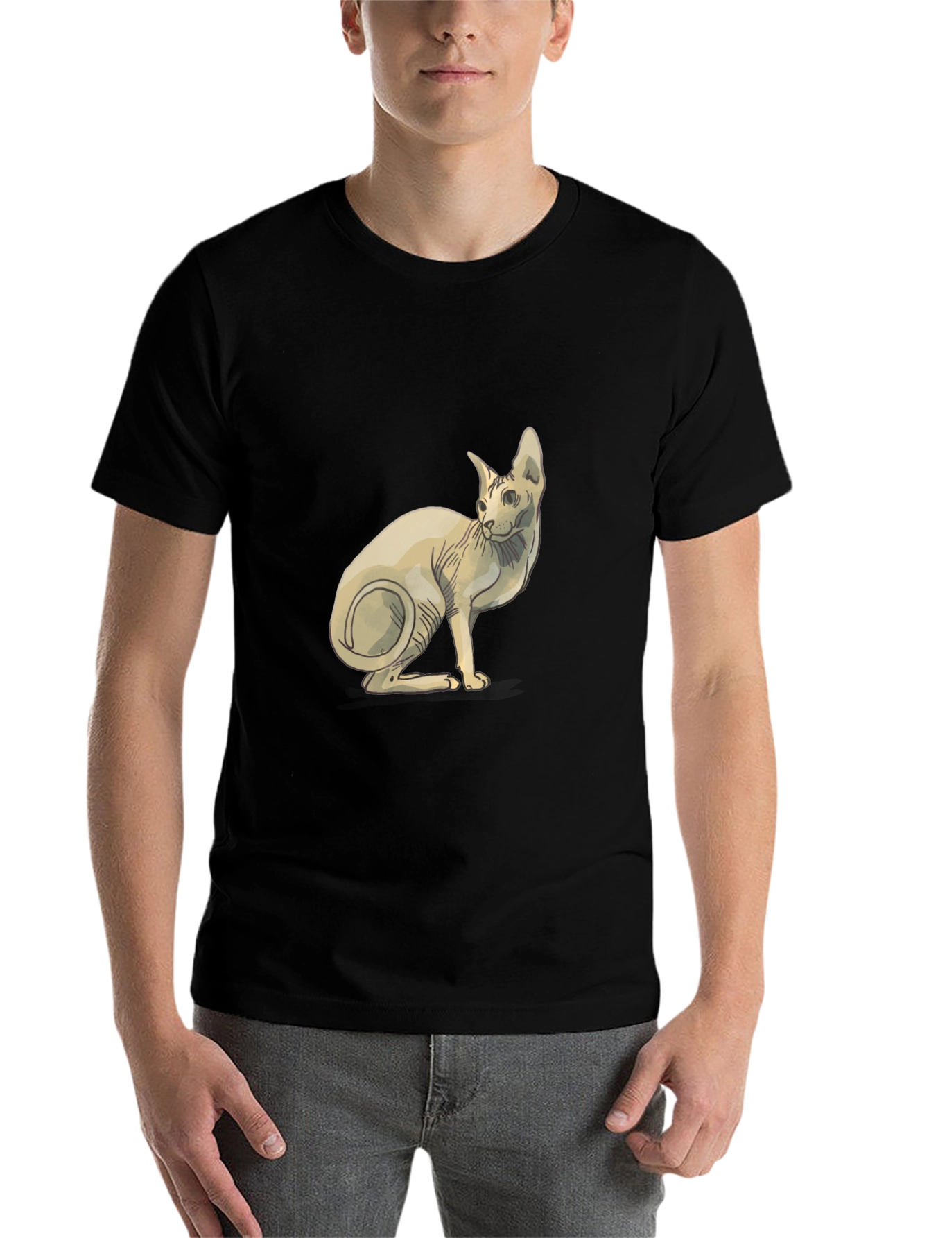 Black Sphynx Cat Graphic Tee - Unique Design view 7