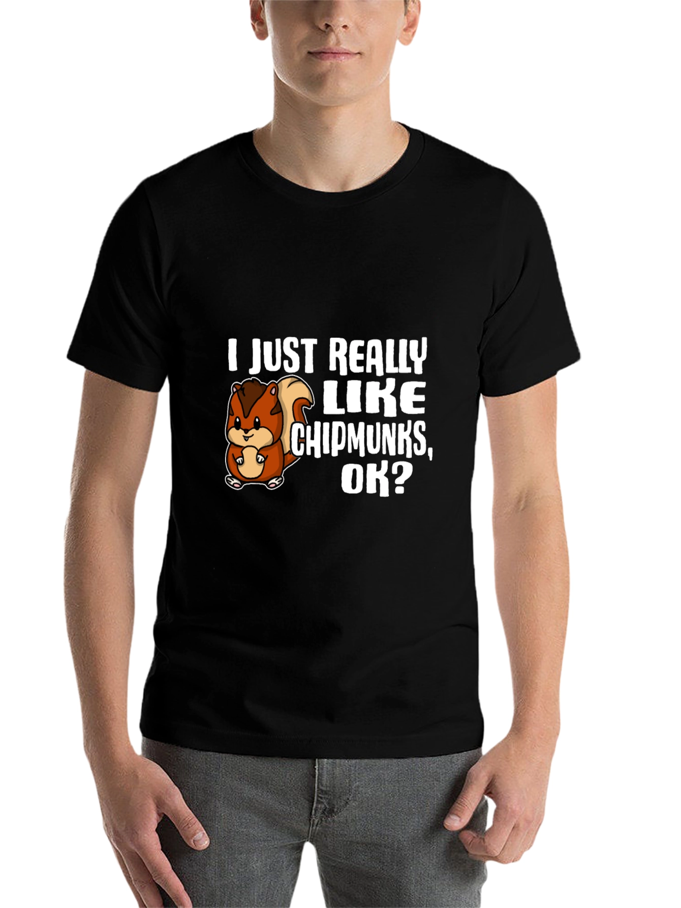 Black I Just Really Like Chipmunks, OK? T-Shirt view 7