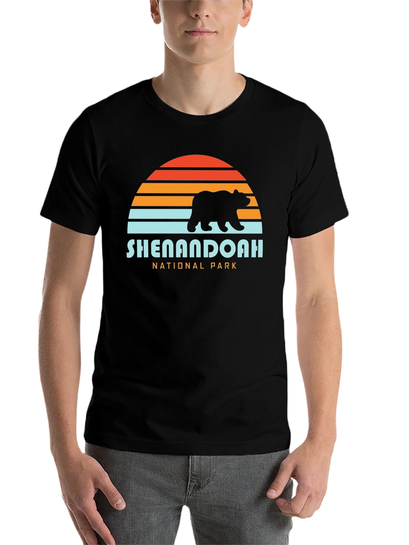 Black Shenandoah National Park Bear Sunset Graphic T-Shirt view 7