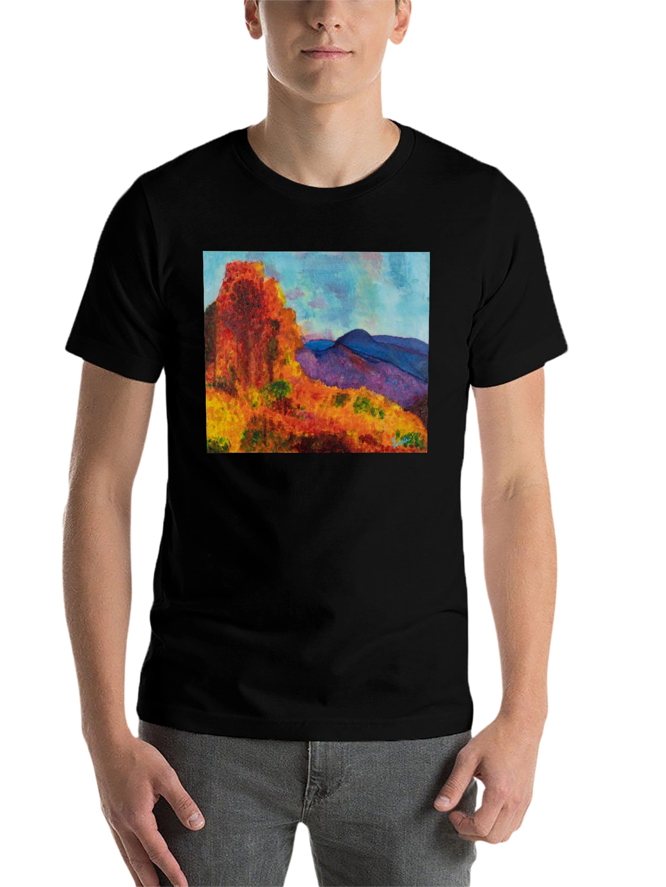 Black Scenic Mountain Print Black T-Shirt view 7