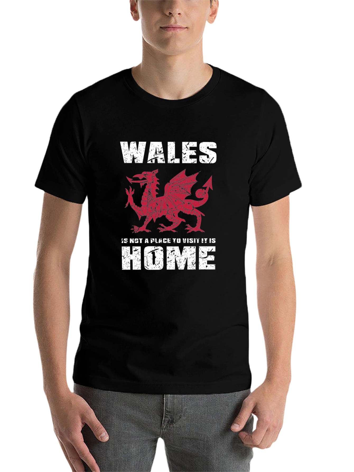 Wales Dragon Graphic T-Shirt - Welsh Pride Tee - 7