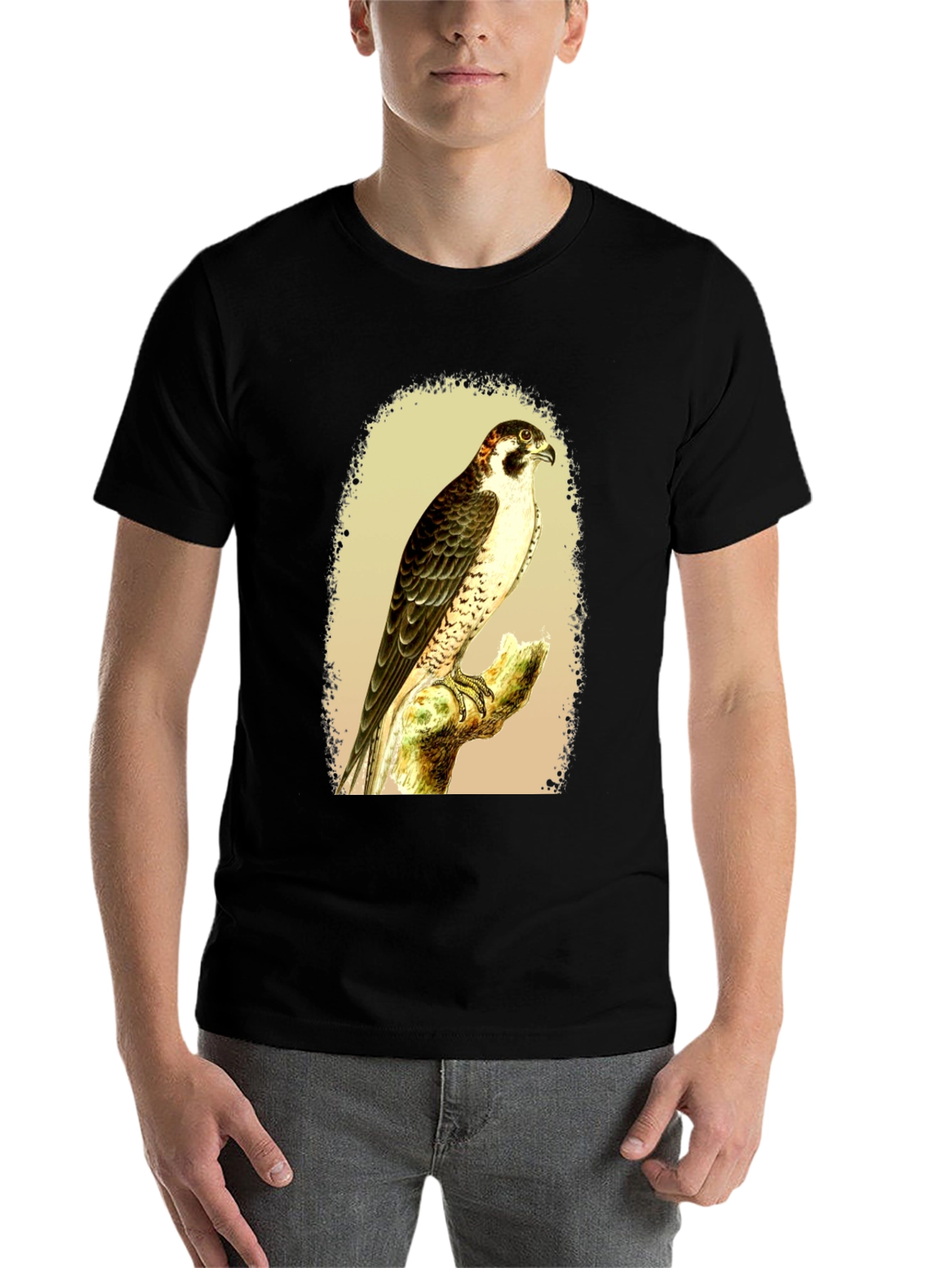 Black Falcon Graphic Tee - Vintage Bird Illustration T-Shirt view 7