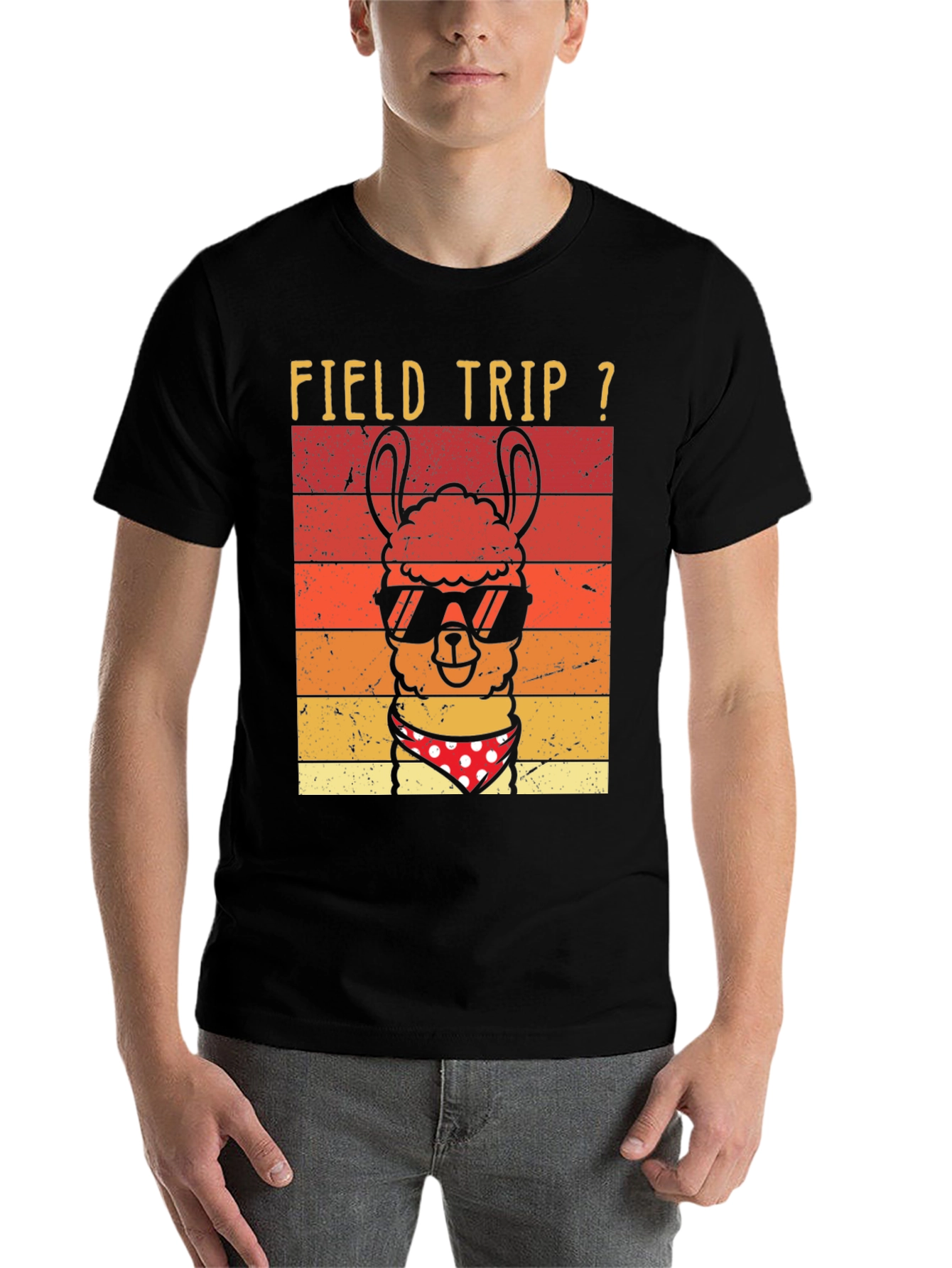 Black Field Trip Llama T-Shirt view 7
