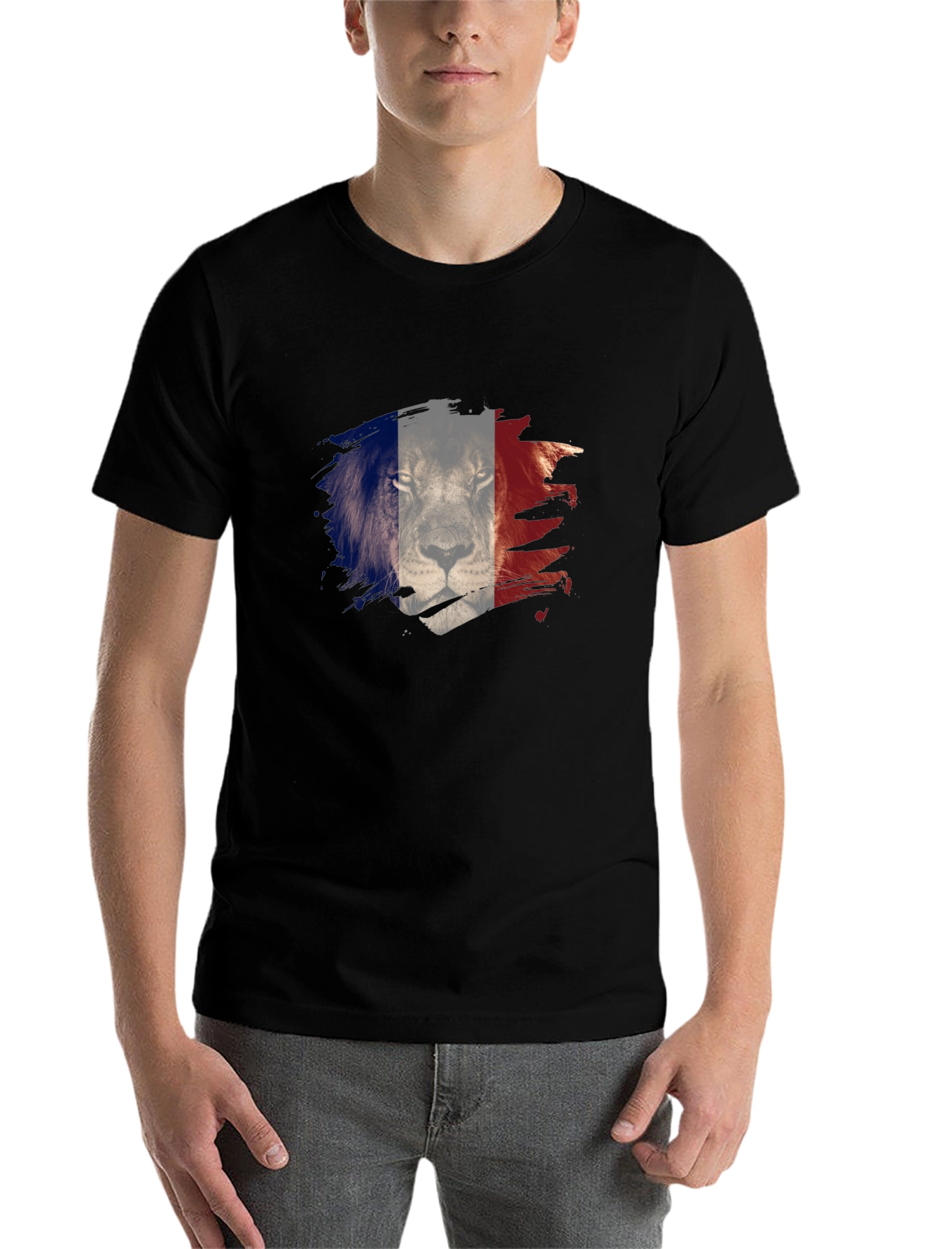 Black Men's Black Lion France Flag Graphic Tee view 7