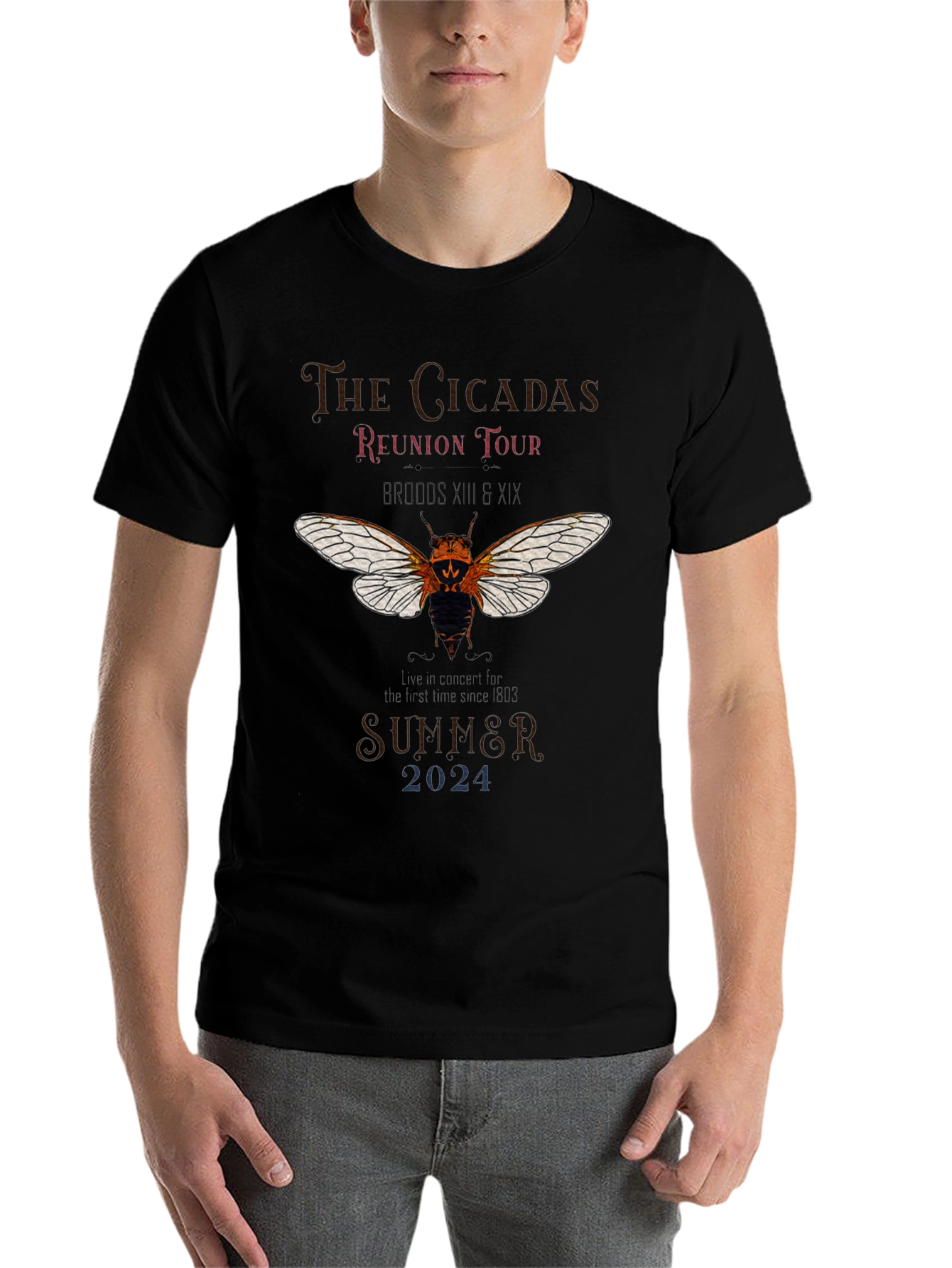 The Cicadas Reunion Tour 2024 T-Shirt - 7