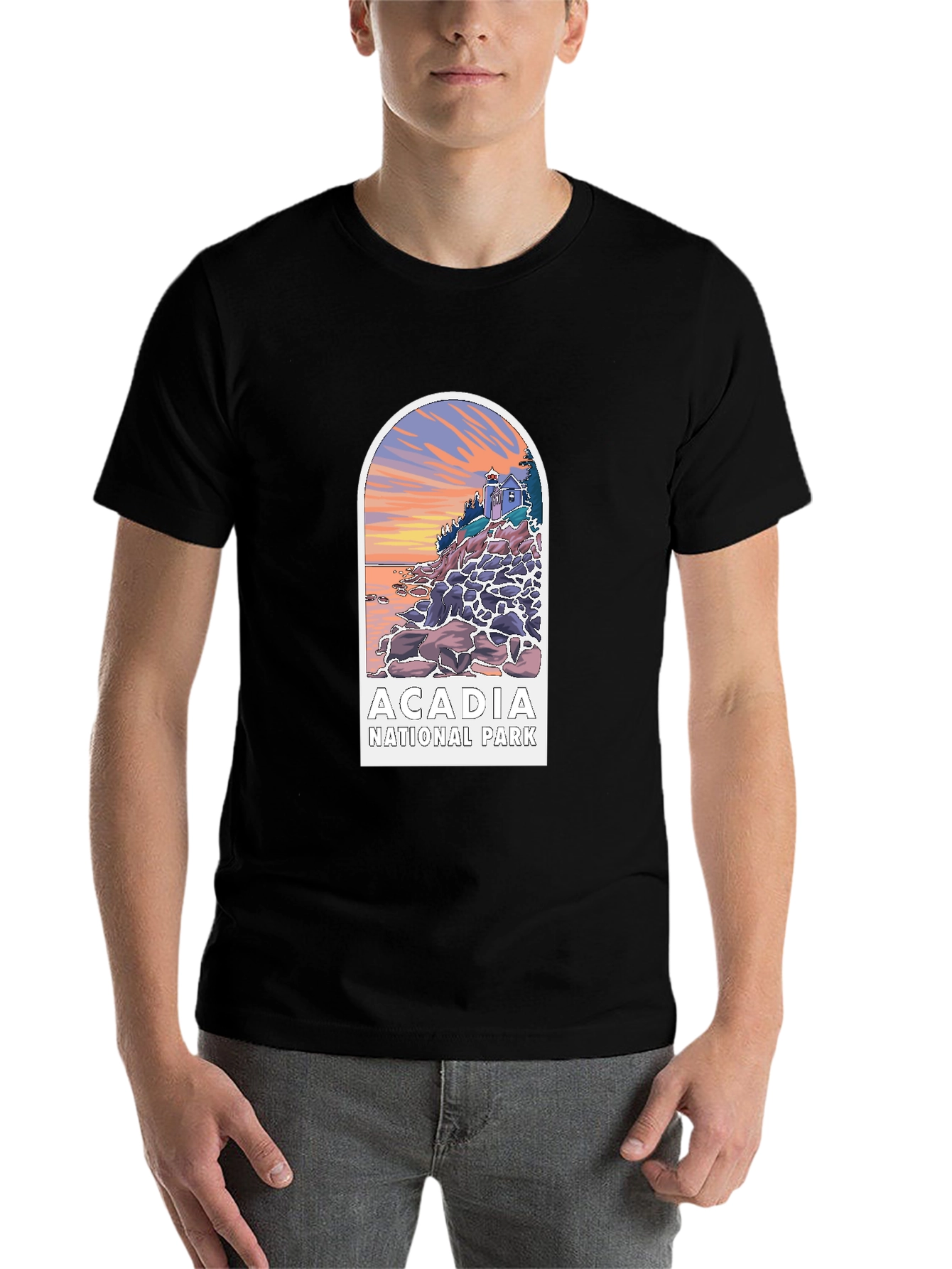 Black Acadia National Park Graphic Tee - Black view 7