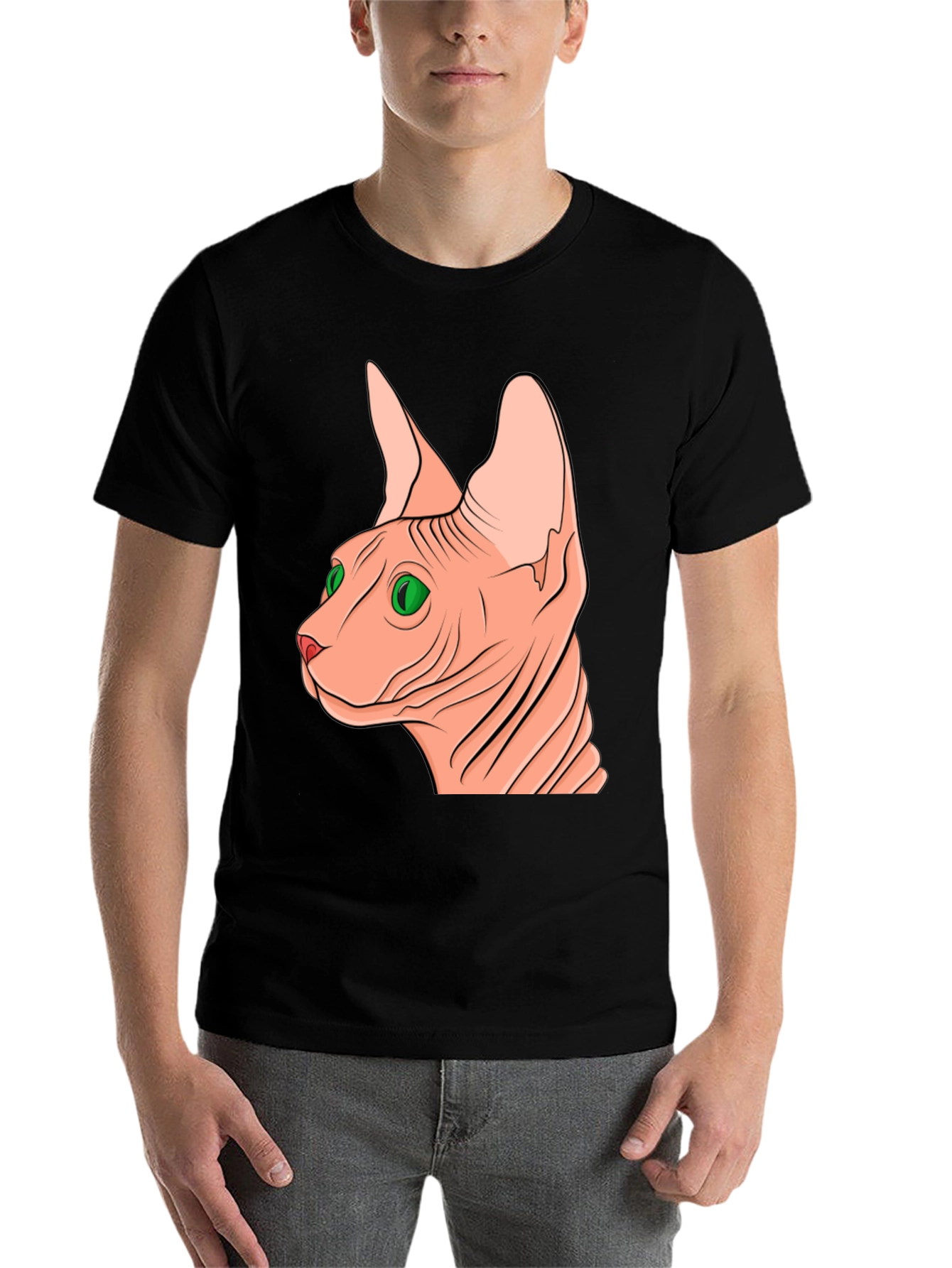 Black Sphynx Cat Graphic Tee - Unique Design view 7