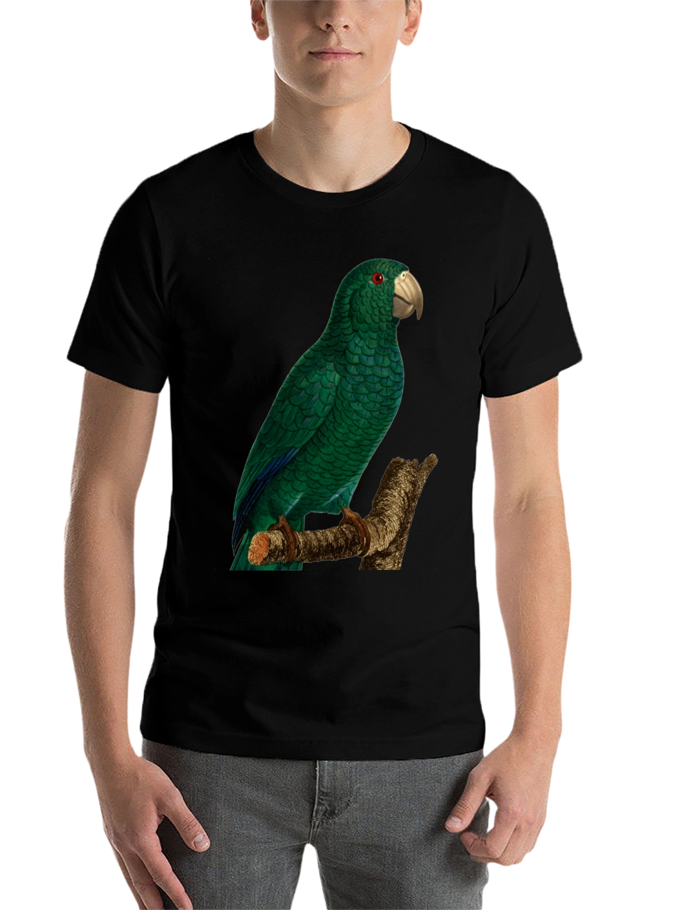 Black Green Parrot Graphic Tee - Nature Lover's Apparel view 7