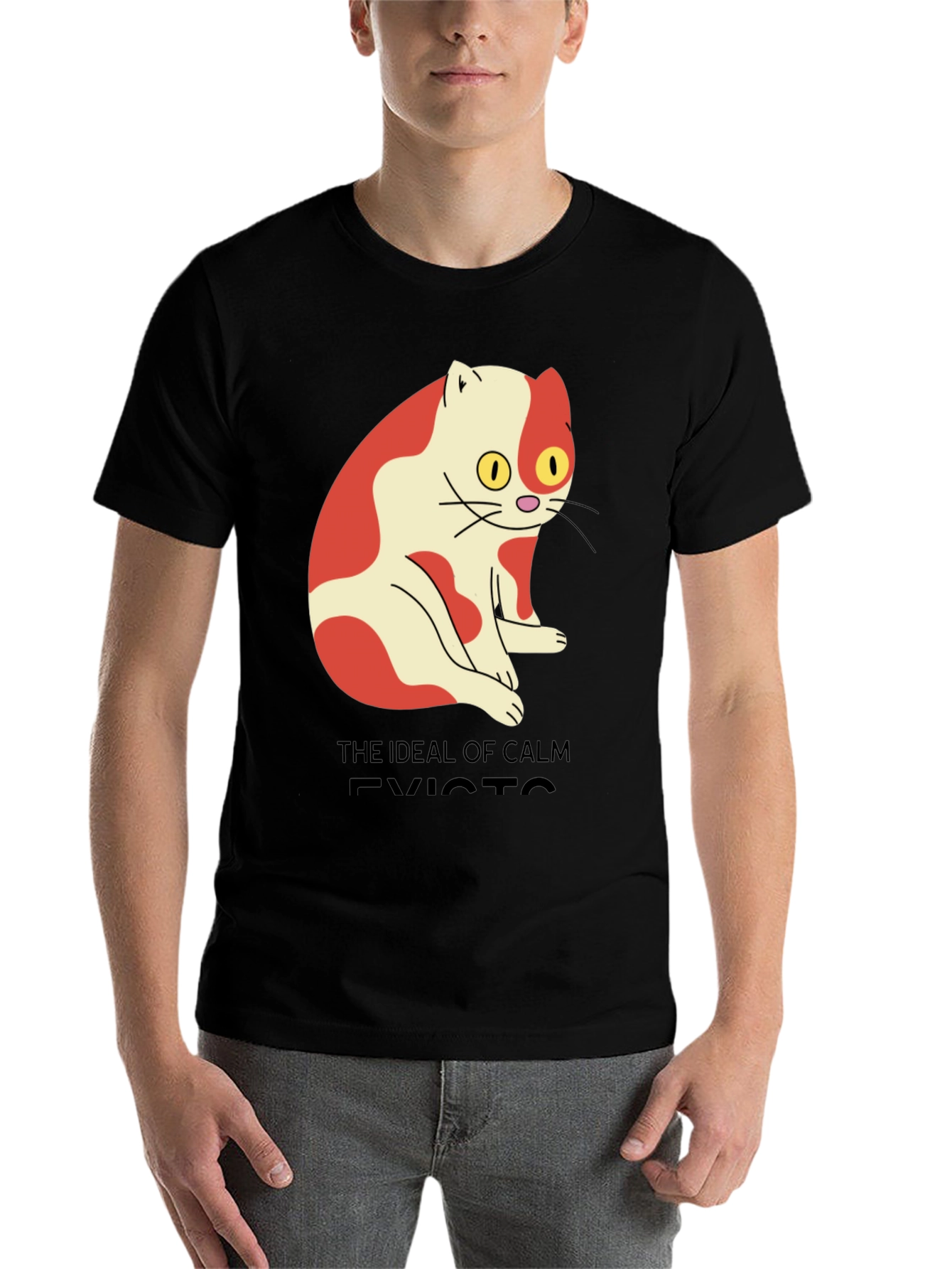 Men's "Ideal of Calm Exists" Cat Graphic T-Shirt - 7