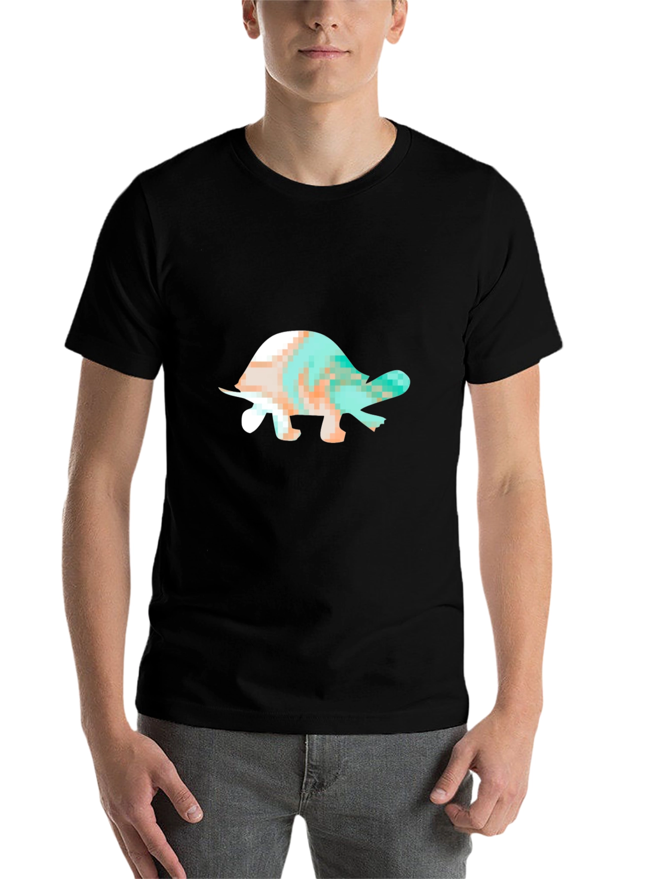Black Turtle Graphic Black T-Shirt view 7