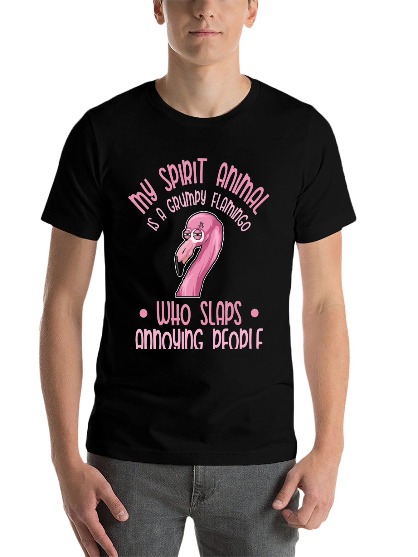 Black Grumpy Flamingo T-Shirt: My Spirit Animal Humor Tee view 7
