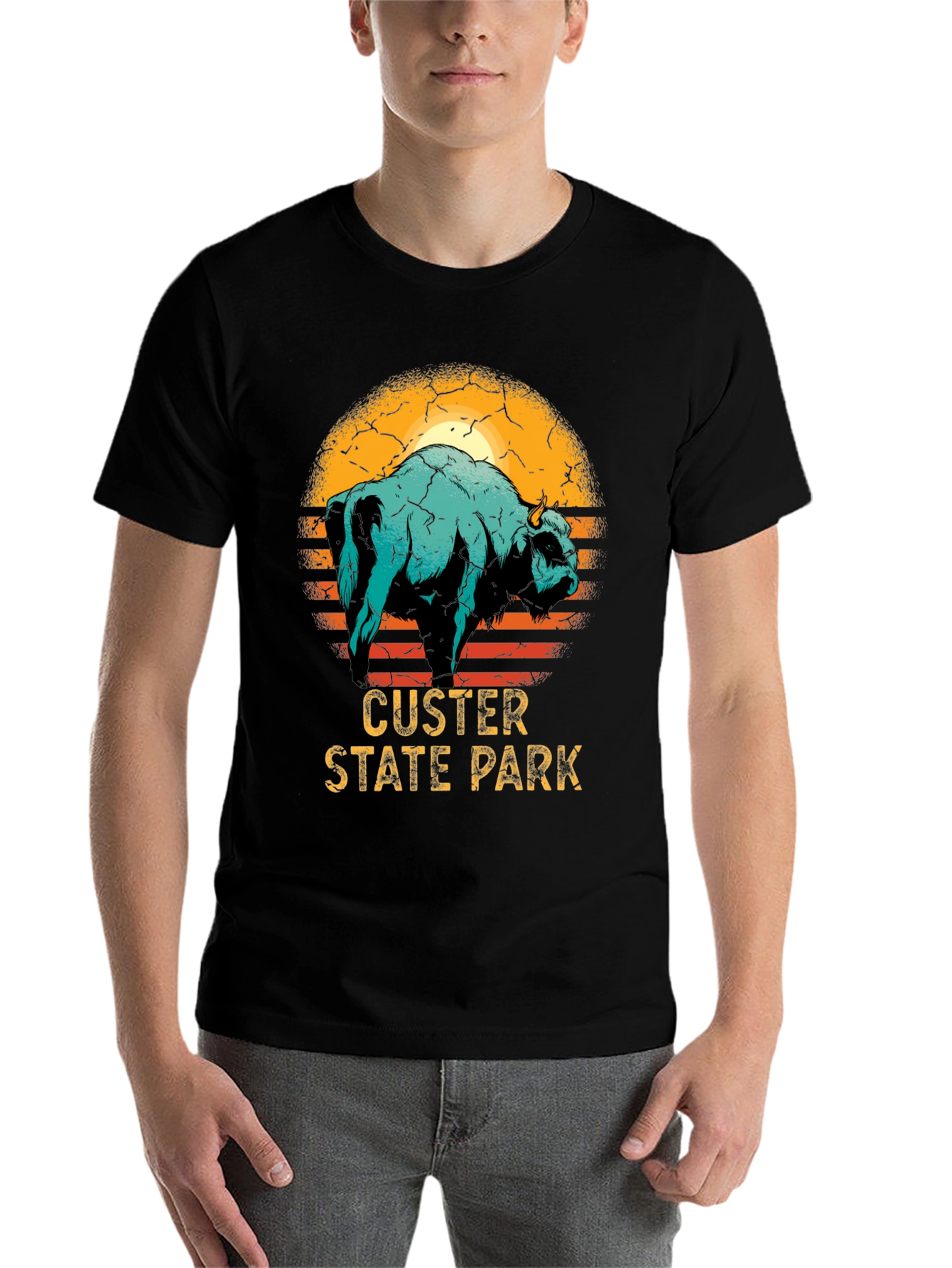 Black Custer State Park Bison Graphic T-Shirt view 7
