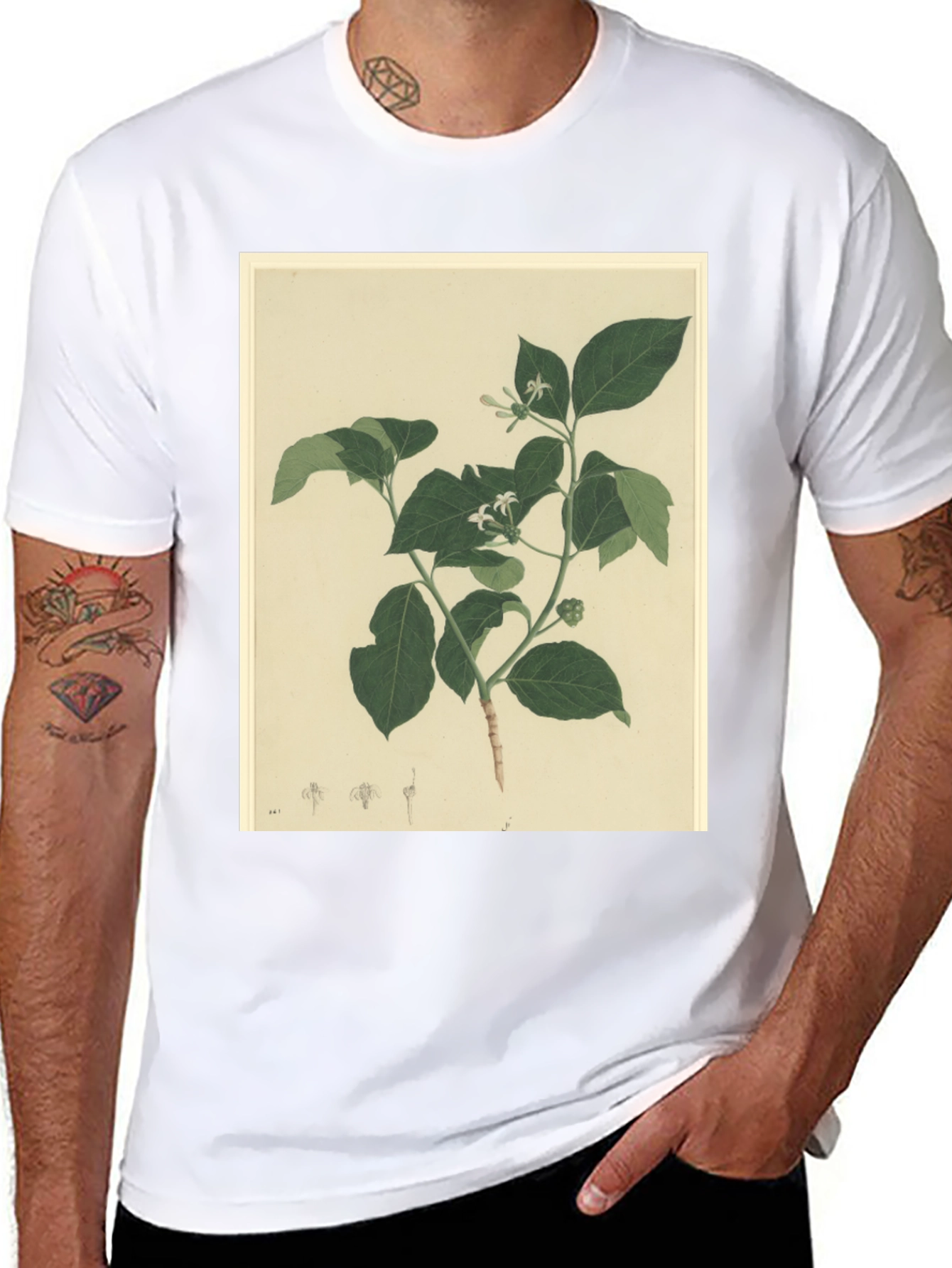 Black Botanical Print Black T-Shirt view 8