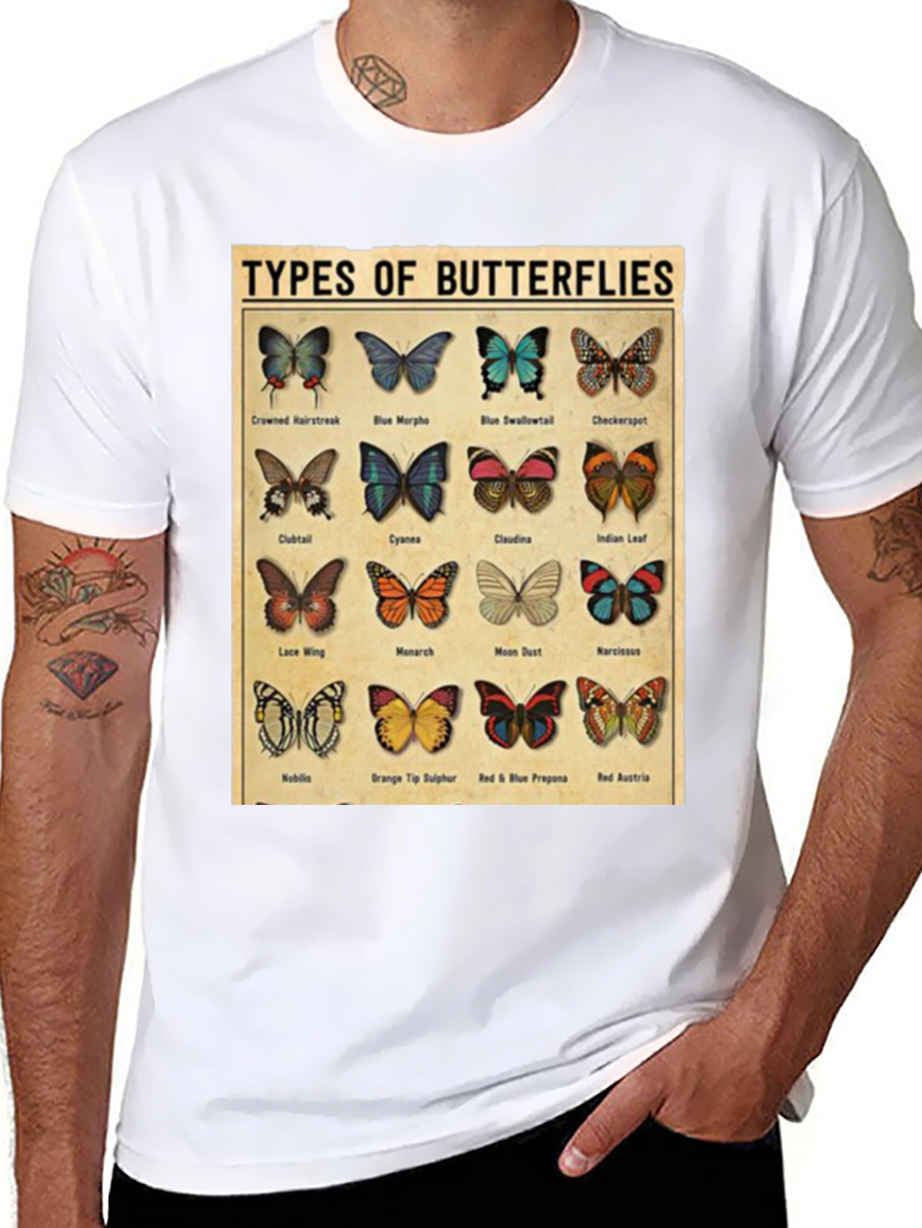 Black Butterfly Types Graphic T-Shirt view 8