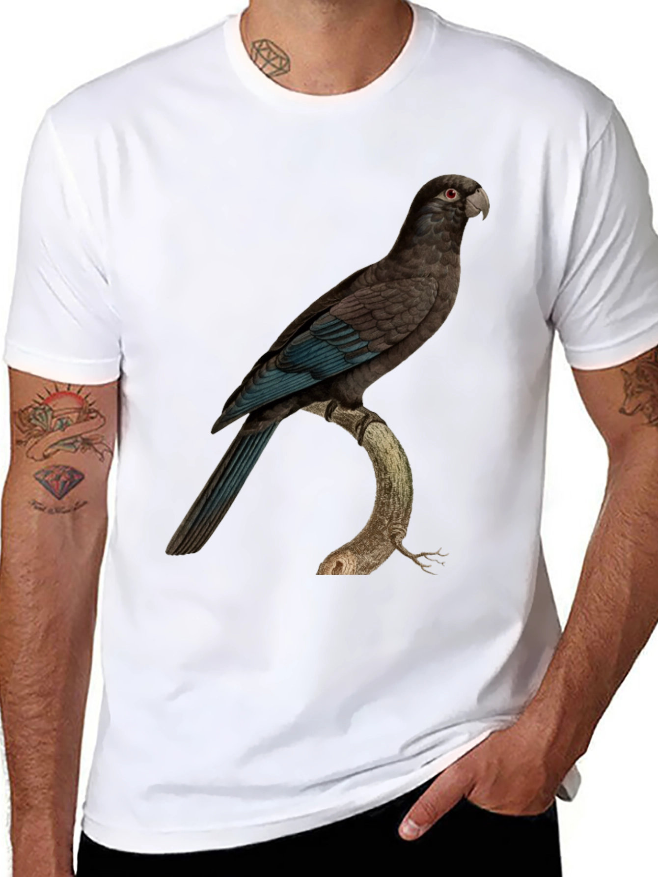 Black Parrot Graphic Print Black T-Shirt view 8