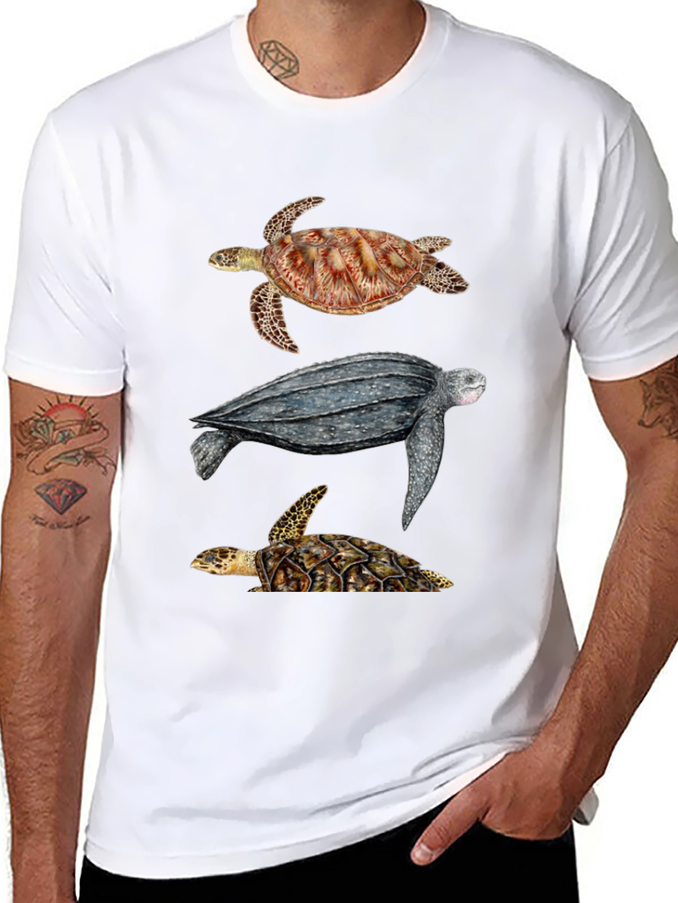 Black Turtle T-Shirt - Sea Life Graphic Tee view 8