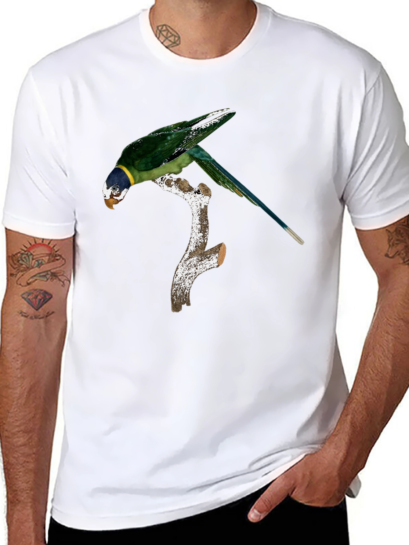Black Parrot on Branch Graphic Tee - Black Cotton Blend Shirt view 8