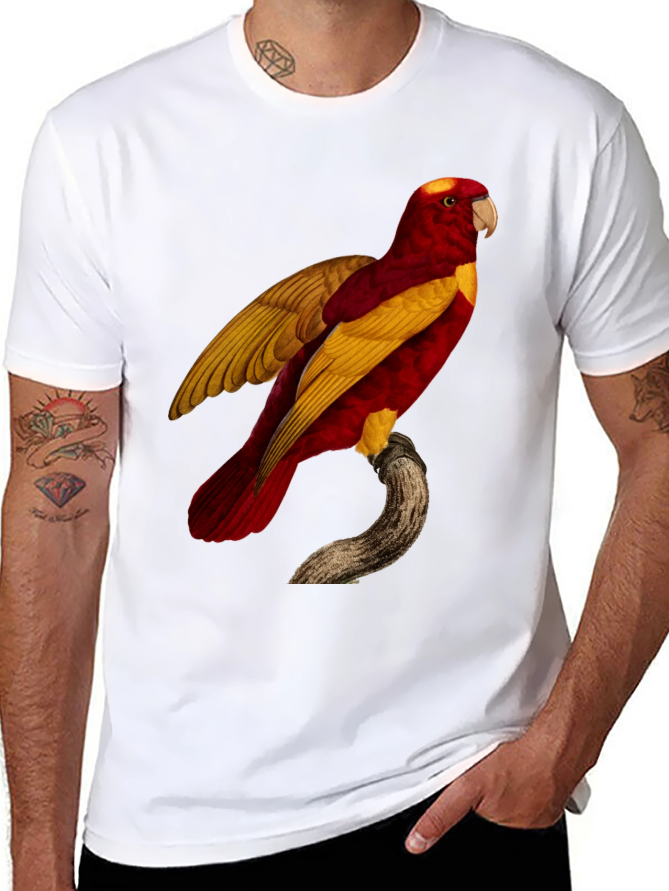Black Exotic Parrot Graphic Tee view 8