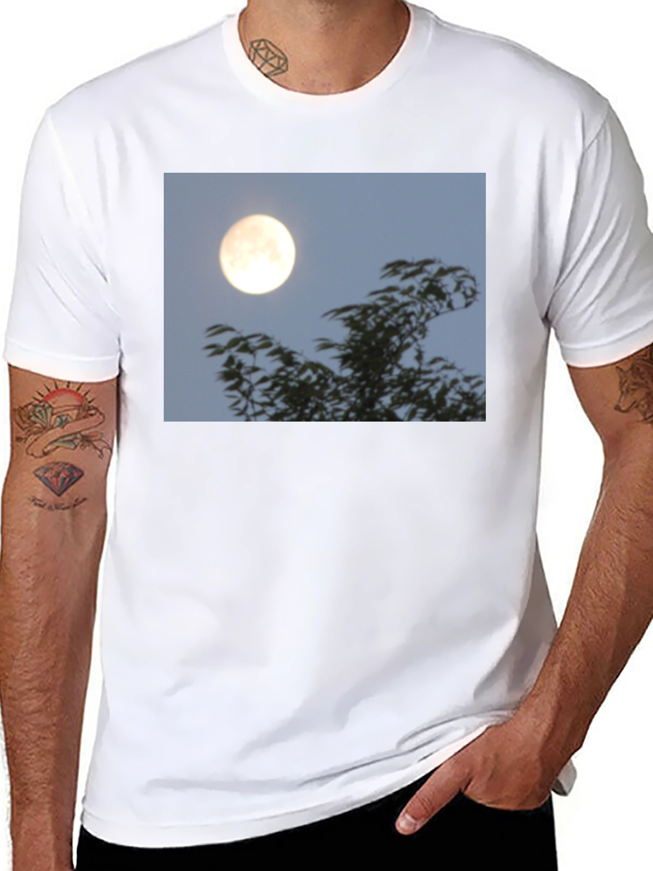 Black Moonlit Trees Graphic Tee - Black Cotton T-Shirt view 8