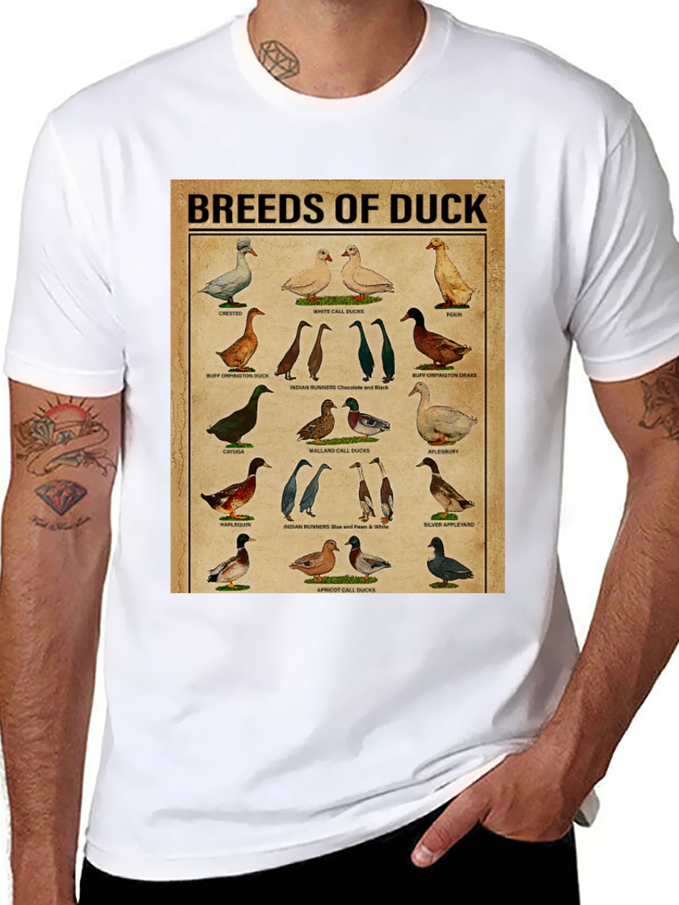 Black Breeds of Duck T-Shirt - Bird Lover Gift view 8