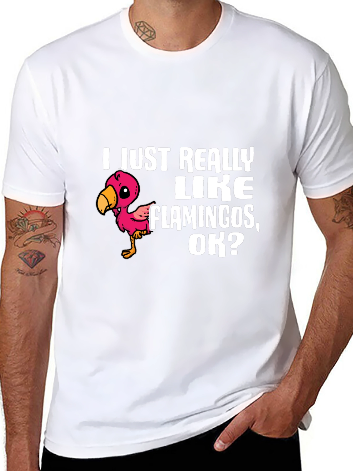Black Flamingo Lover T-Shirt - I Just Really Like Flamingos, OK? view 8